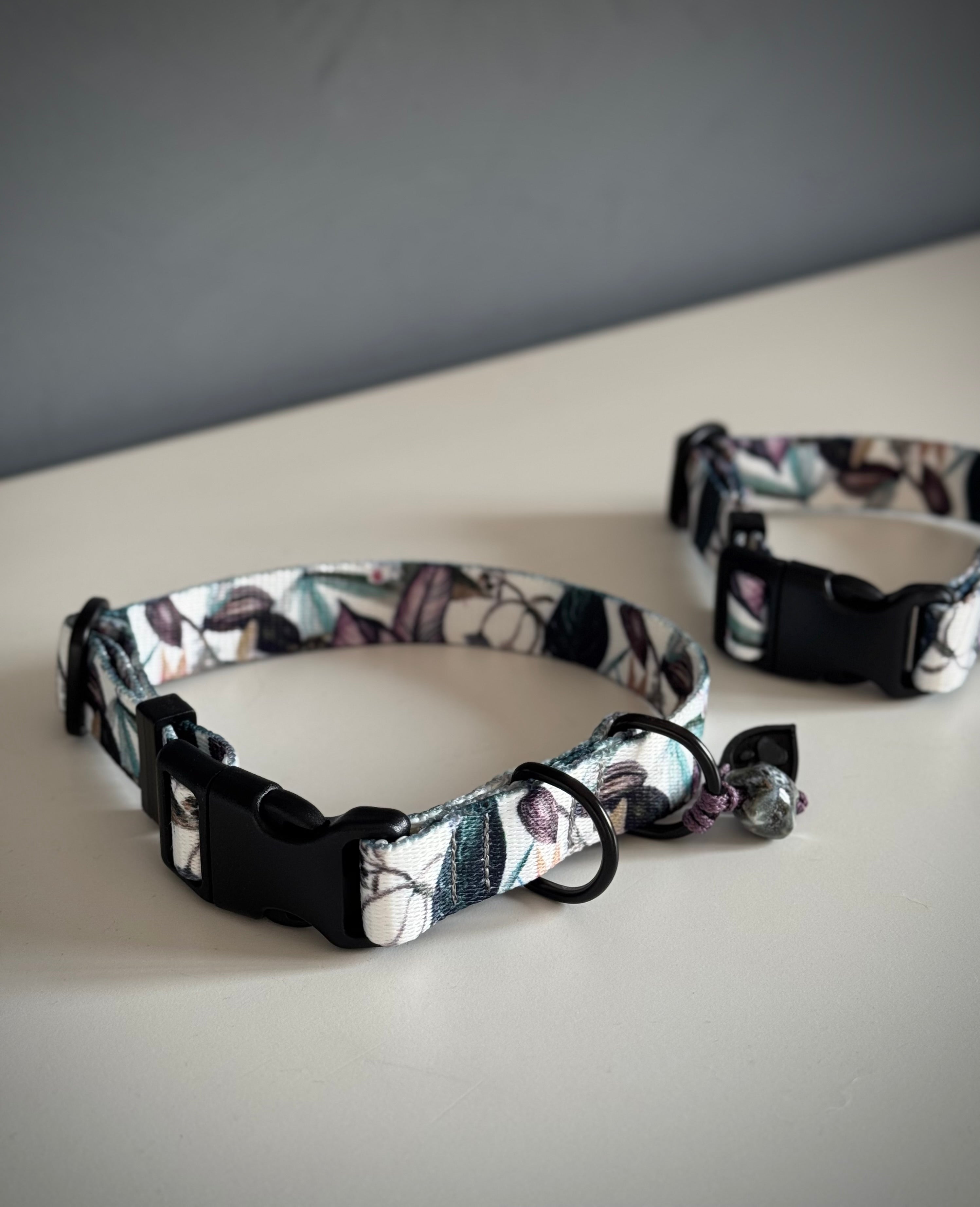 ReadyForBuckle | Collar | Banana Tree