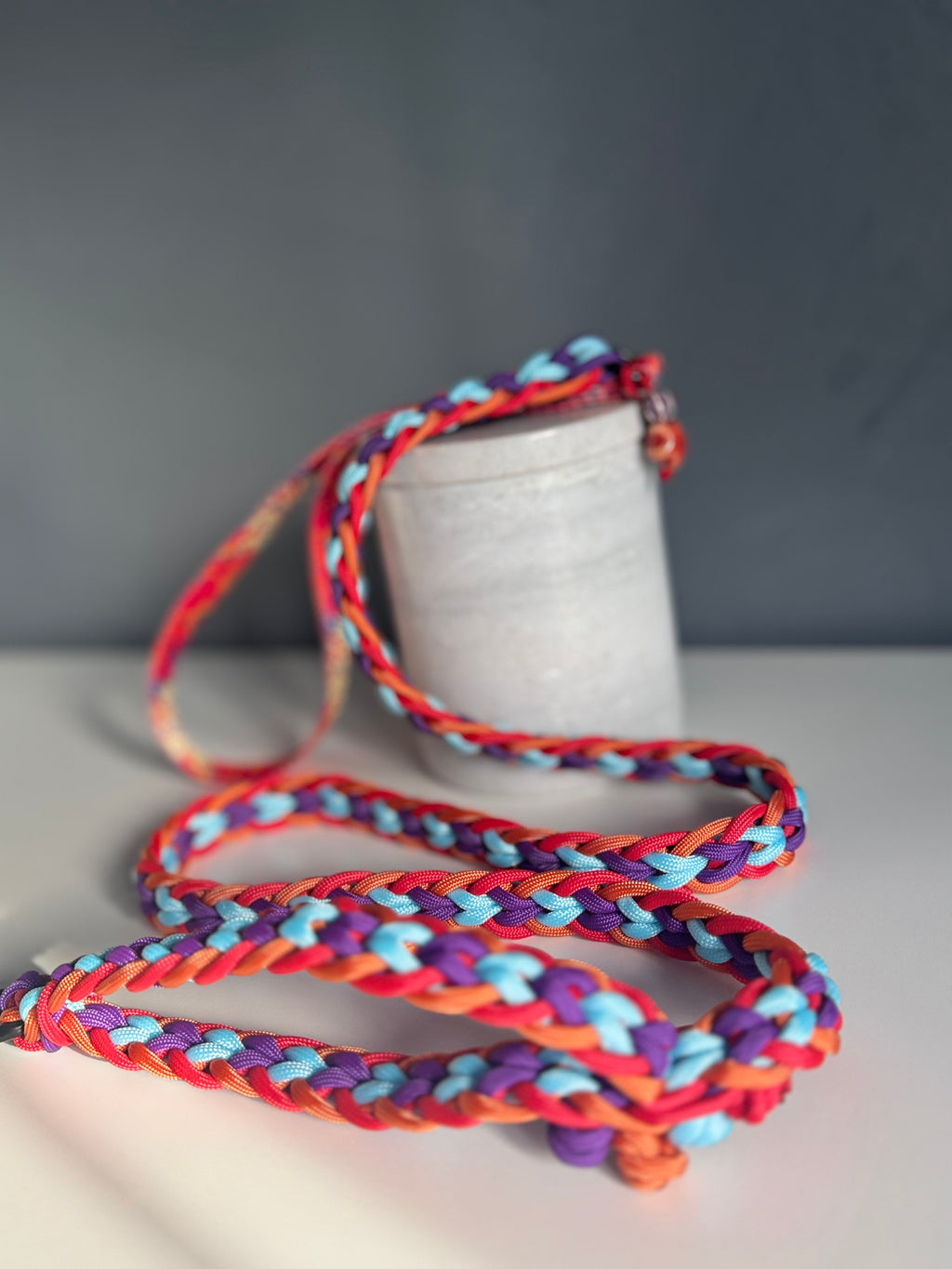 ReadyForFusion | Braided Leash | Confetti