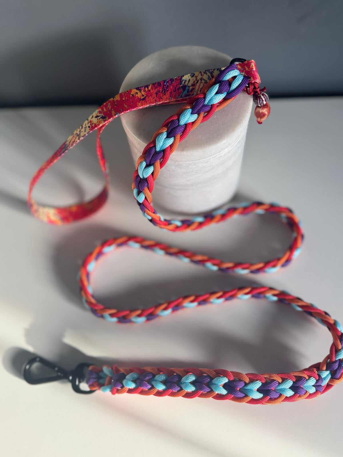 ReadyForFusion | Braided Leash | Confetti