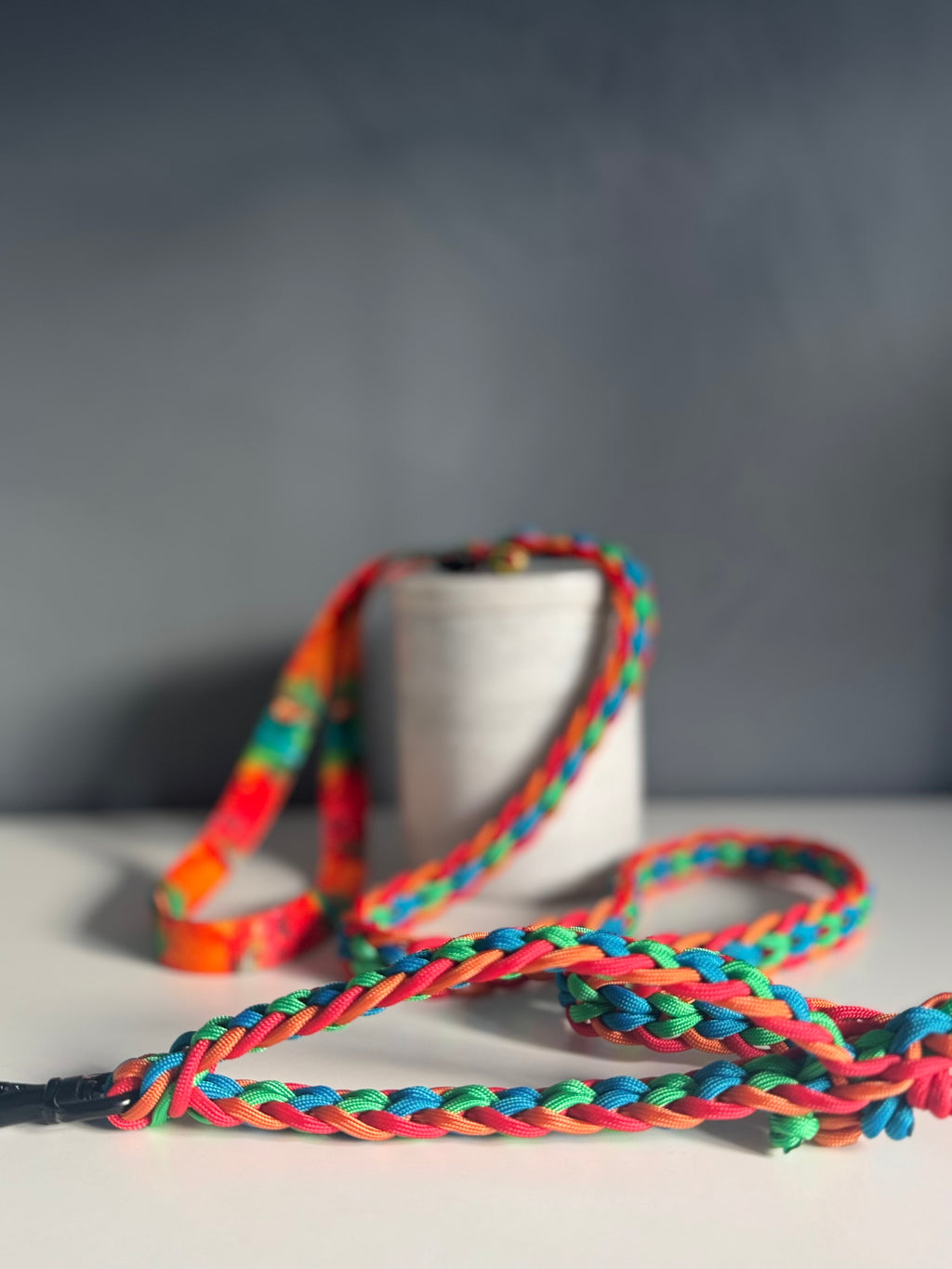 ReadyForFusion | Braided Leash | Energy