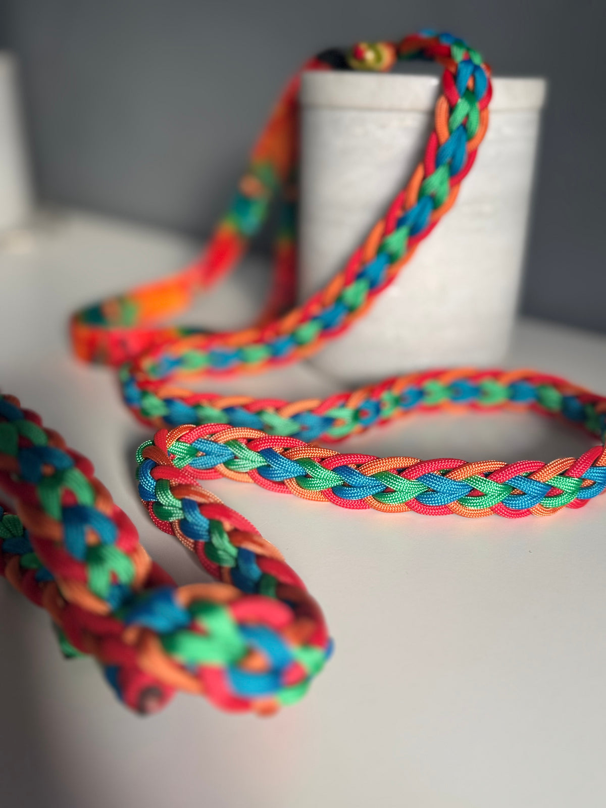 ReadyForFusion | Braided Leash | Energy