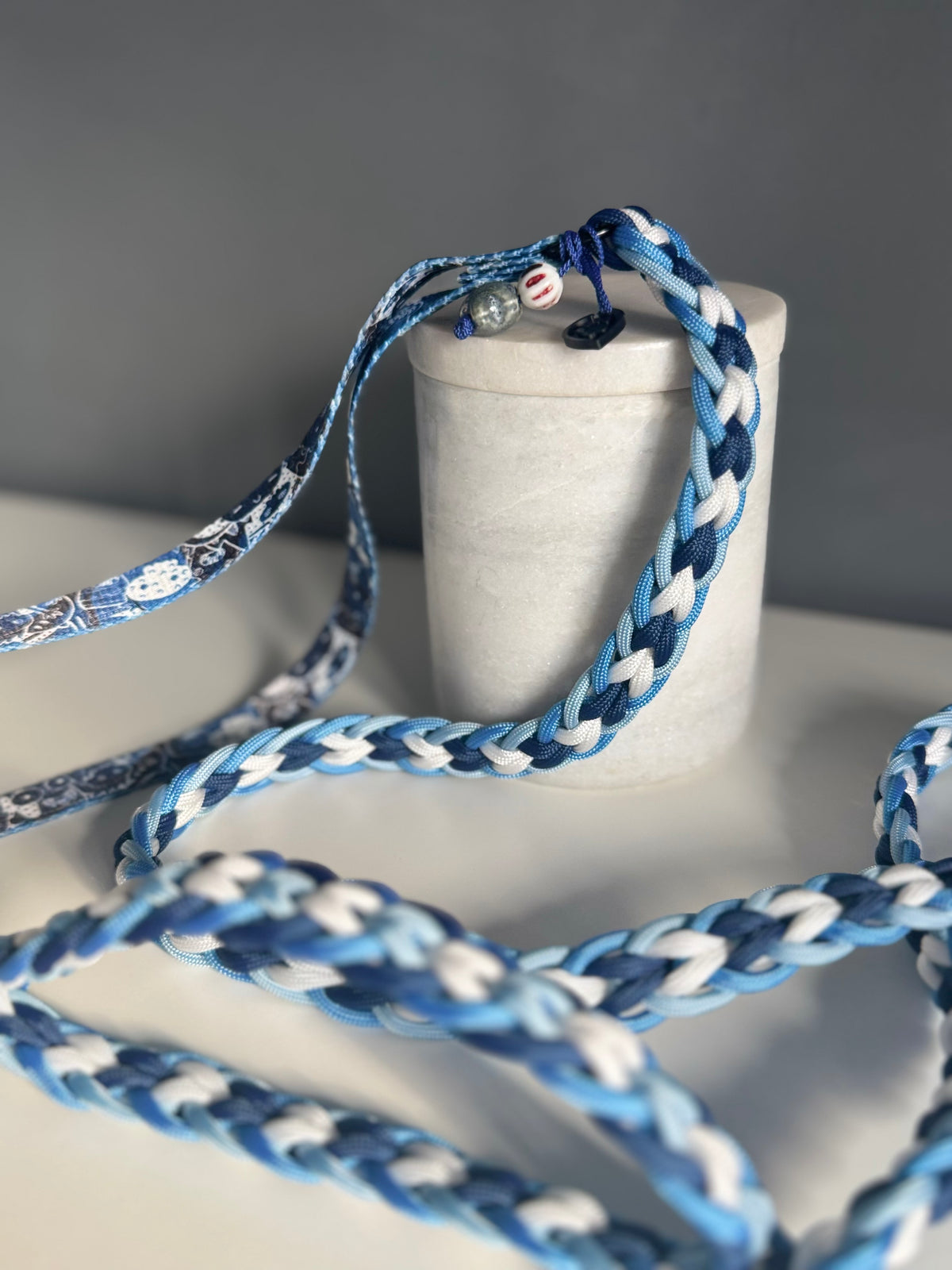 ReadyForFusion | Braided Leash | Monsters