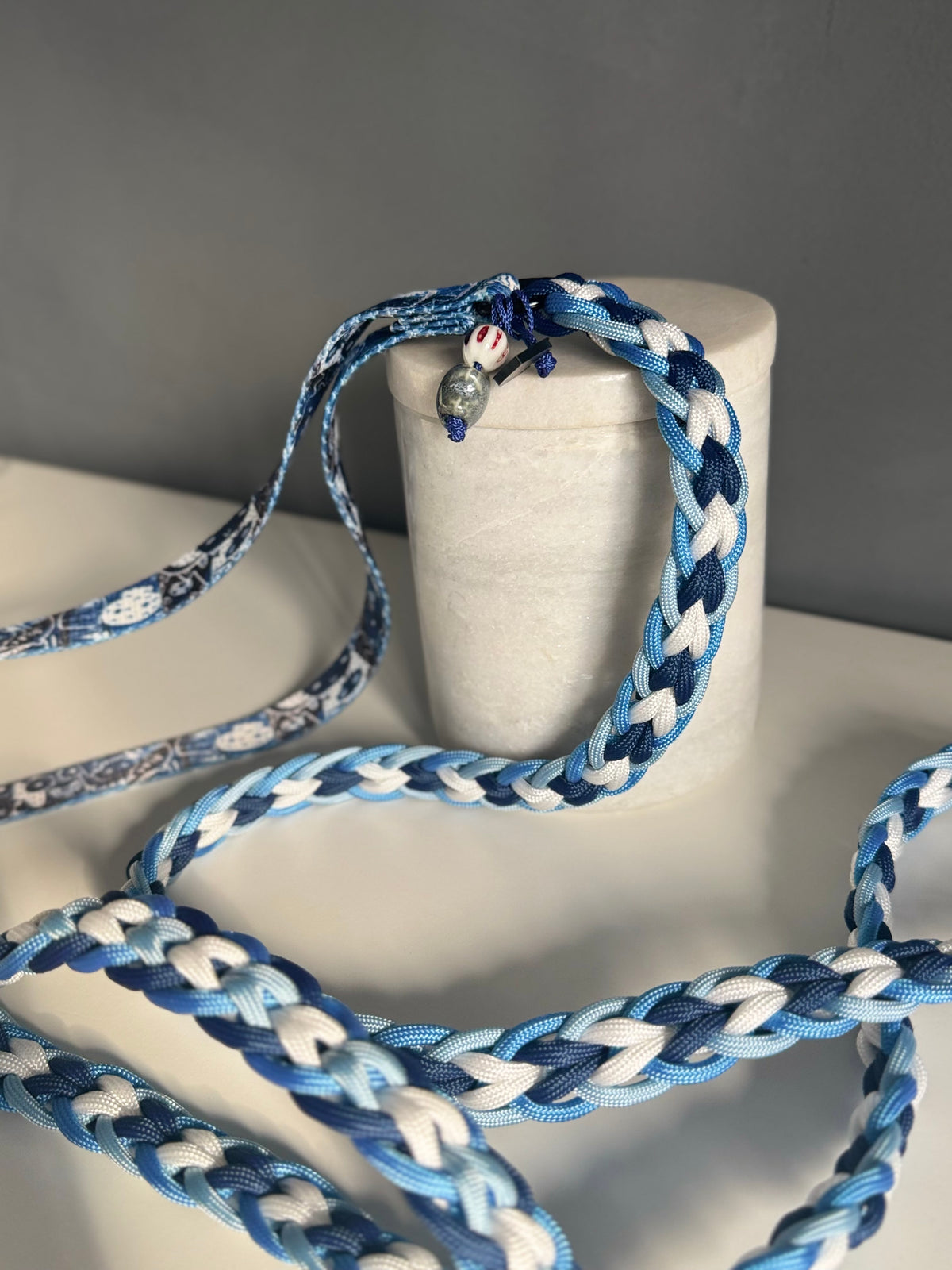 ReadyForFusion | Braided Leash | Monsters