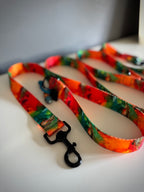 ReadyForWalk | Traditional leash | Energy