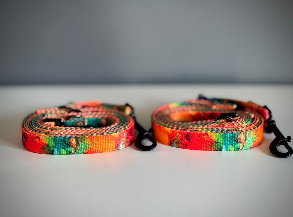 ReadyFor3 | Multifunctional Leash | Energy