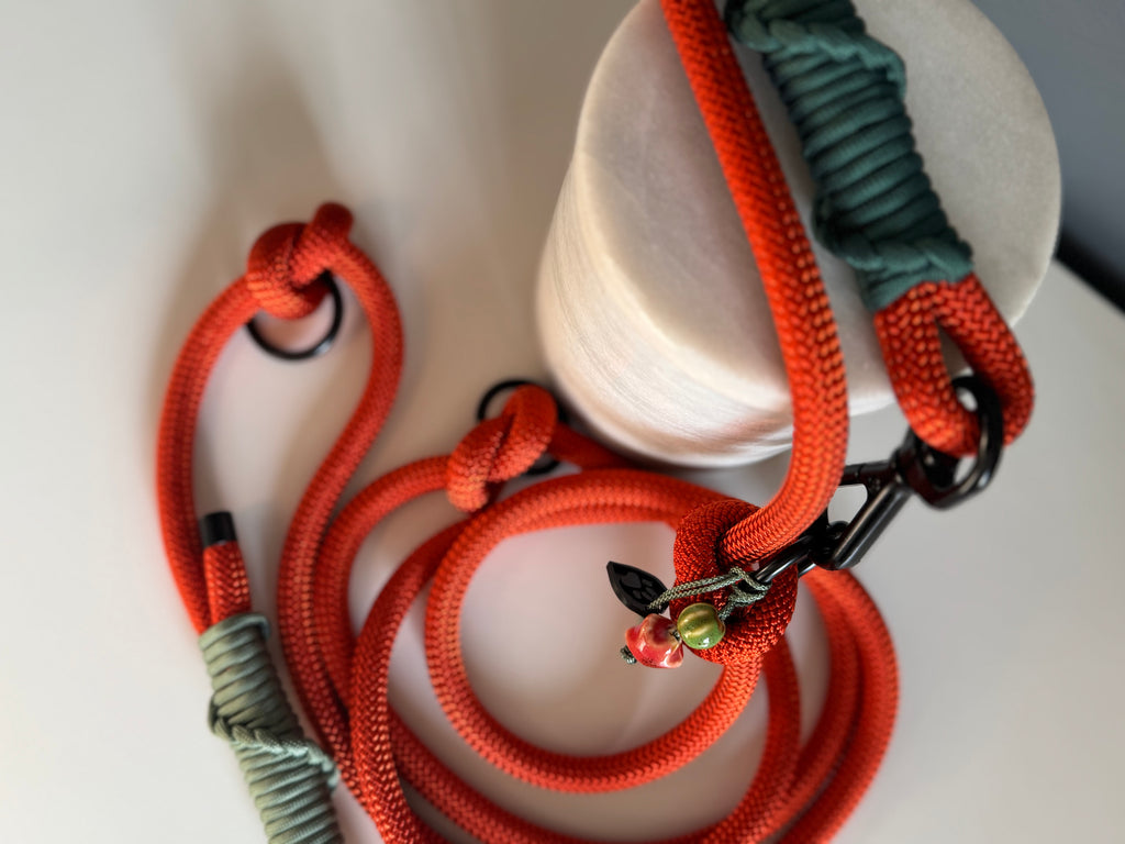 ReadyFor3Rope | Multifunctional Leash | Green Meadows