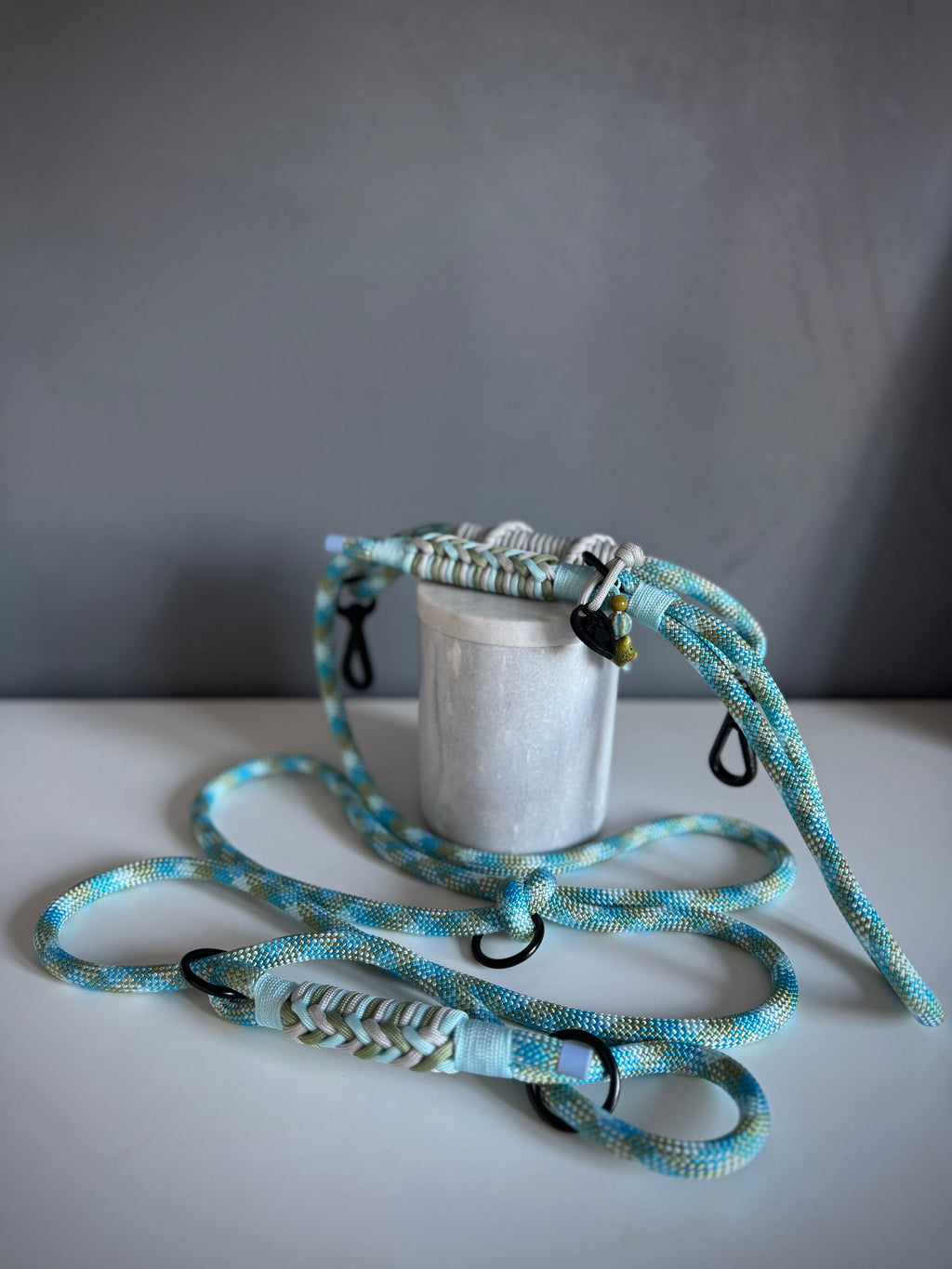 ReadyForGentleLeader | Blue | 10mm