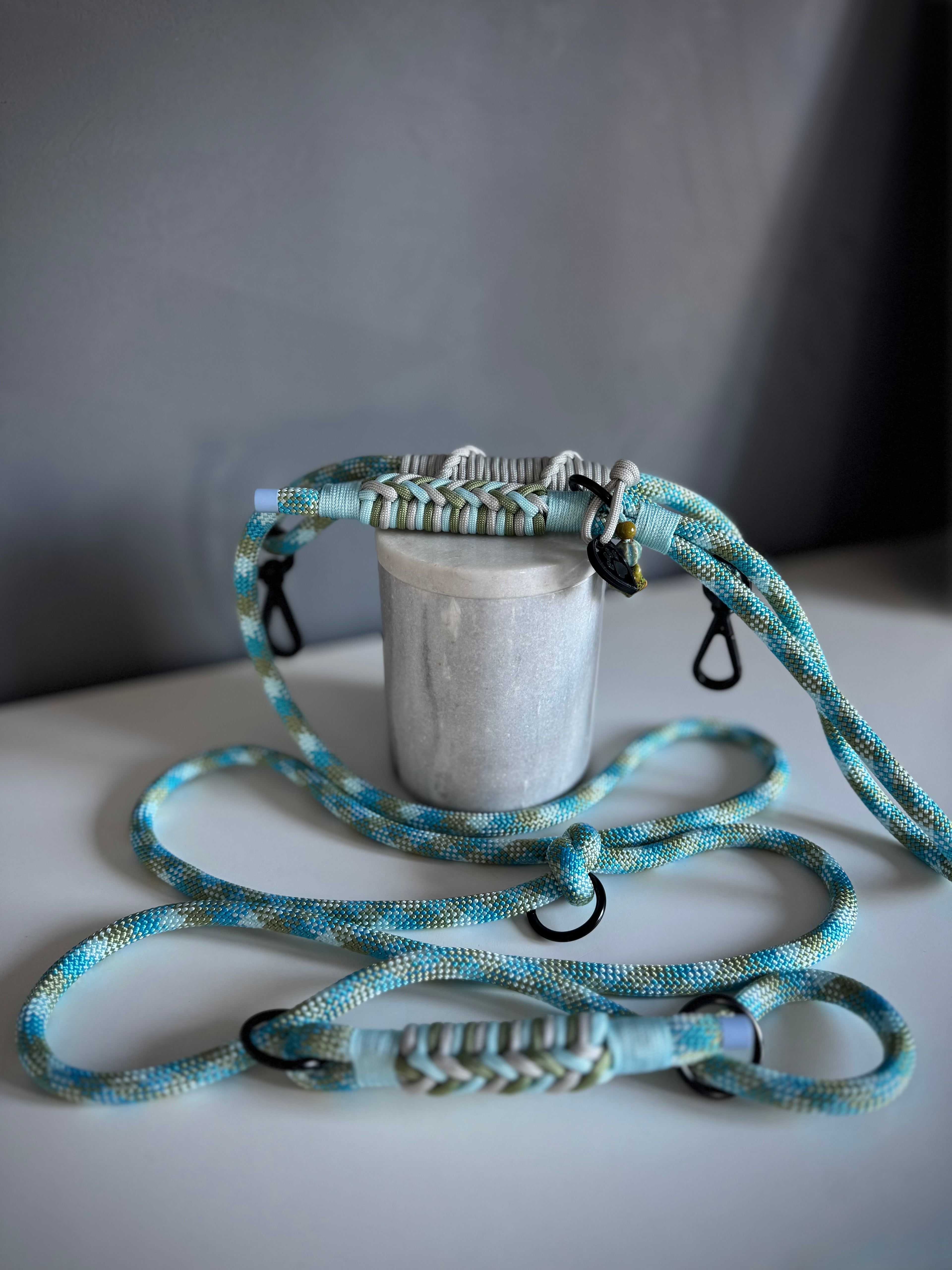 ReadyForGentleLeader | Blue | 10mm