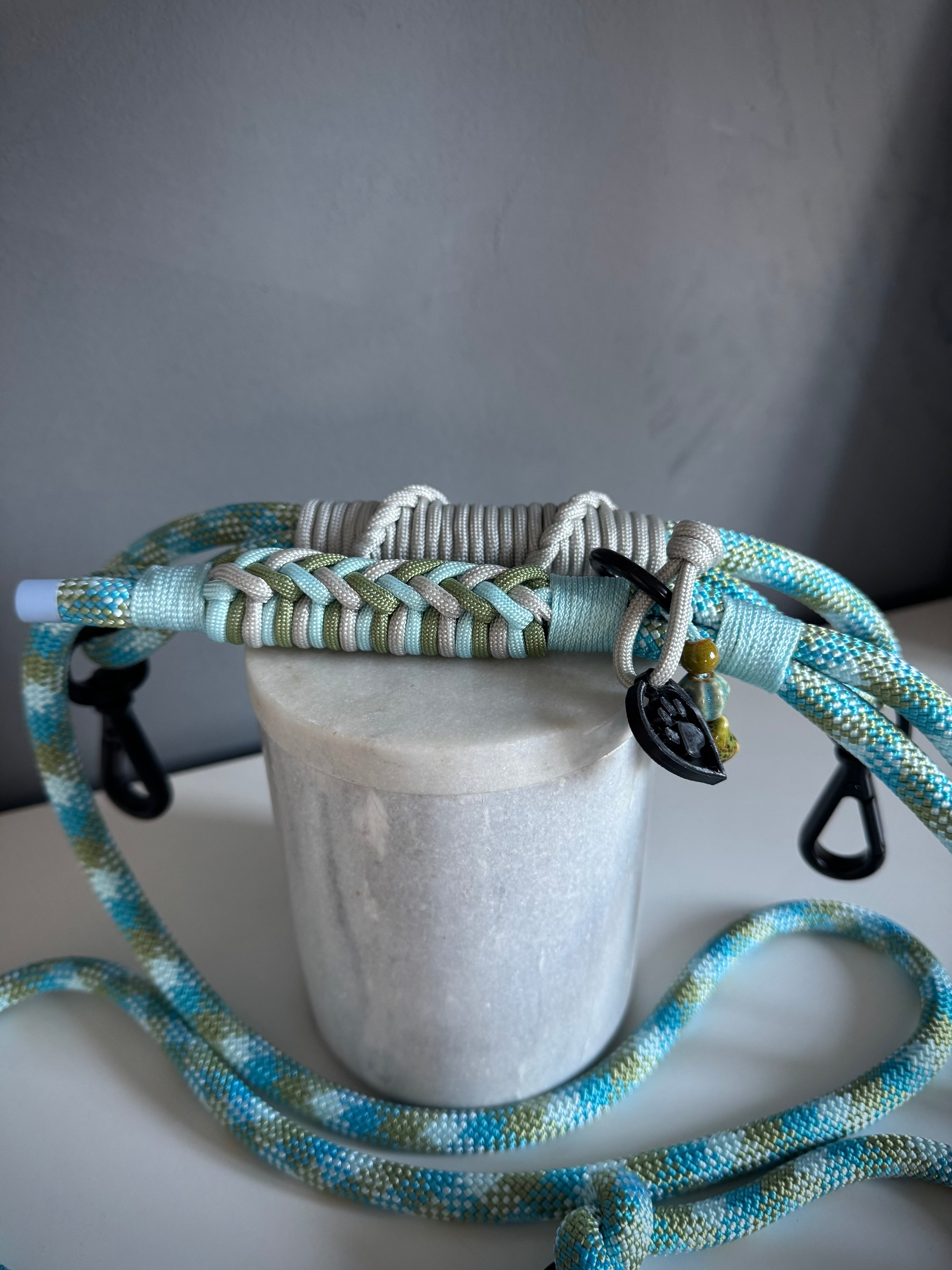 ReadyForGentleLeader | Blue | 10mm