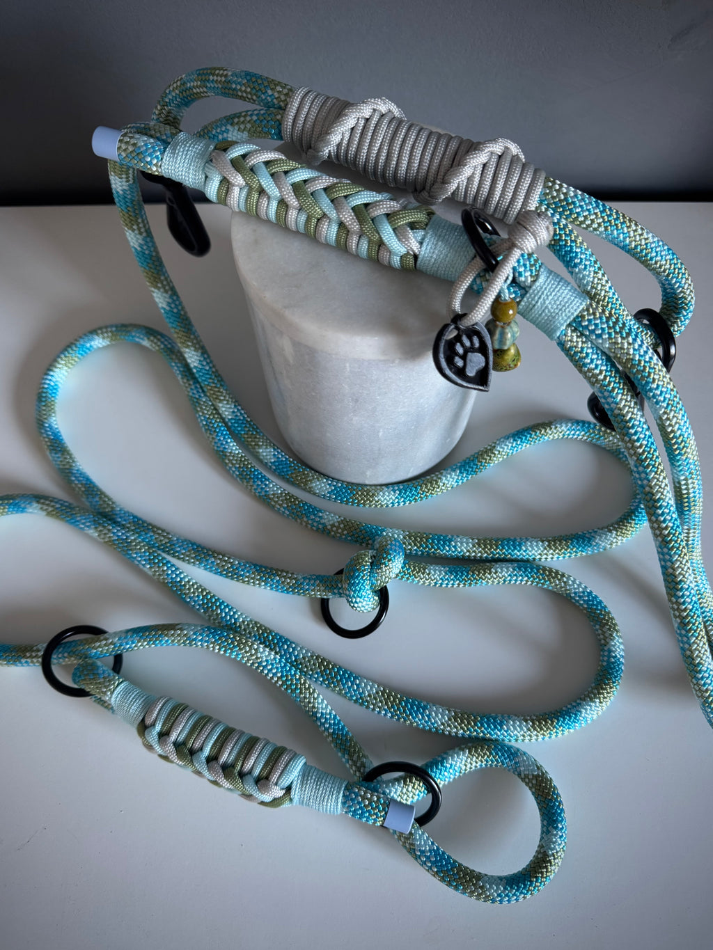 ReadyForGentleLeader | Blue | 10mm