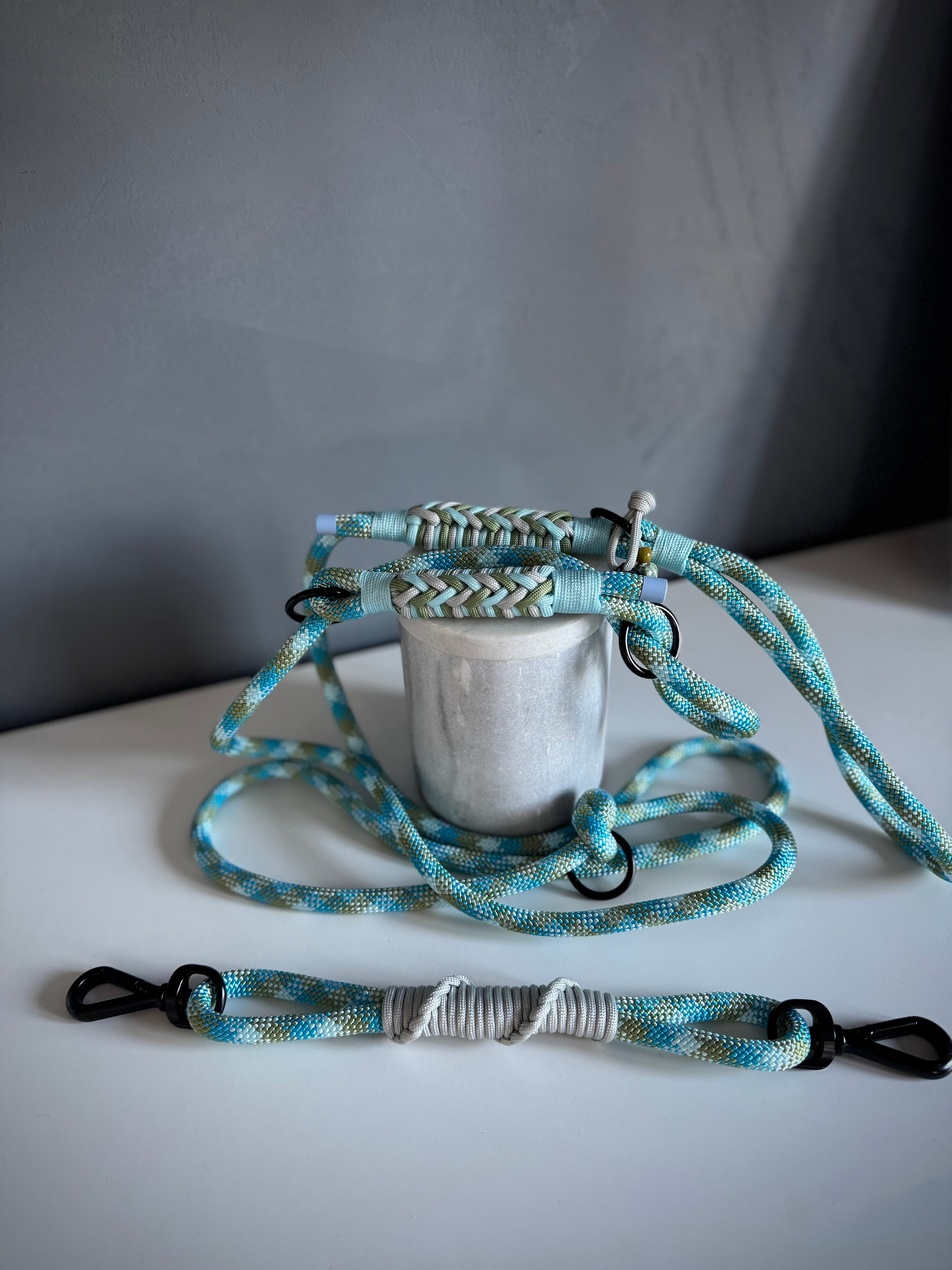 ReadyForGentleLeader | Blue | 10mm