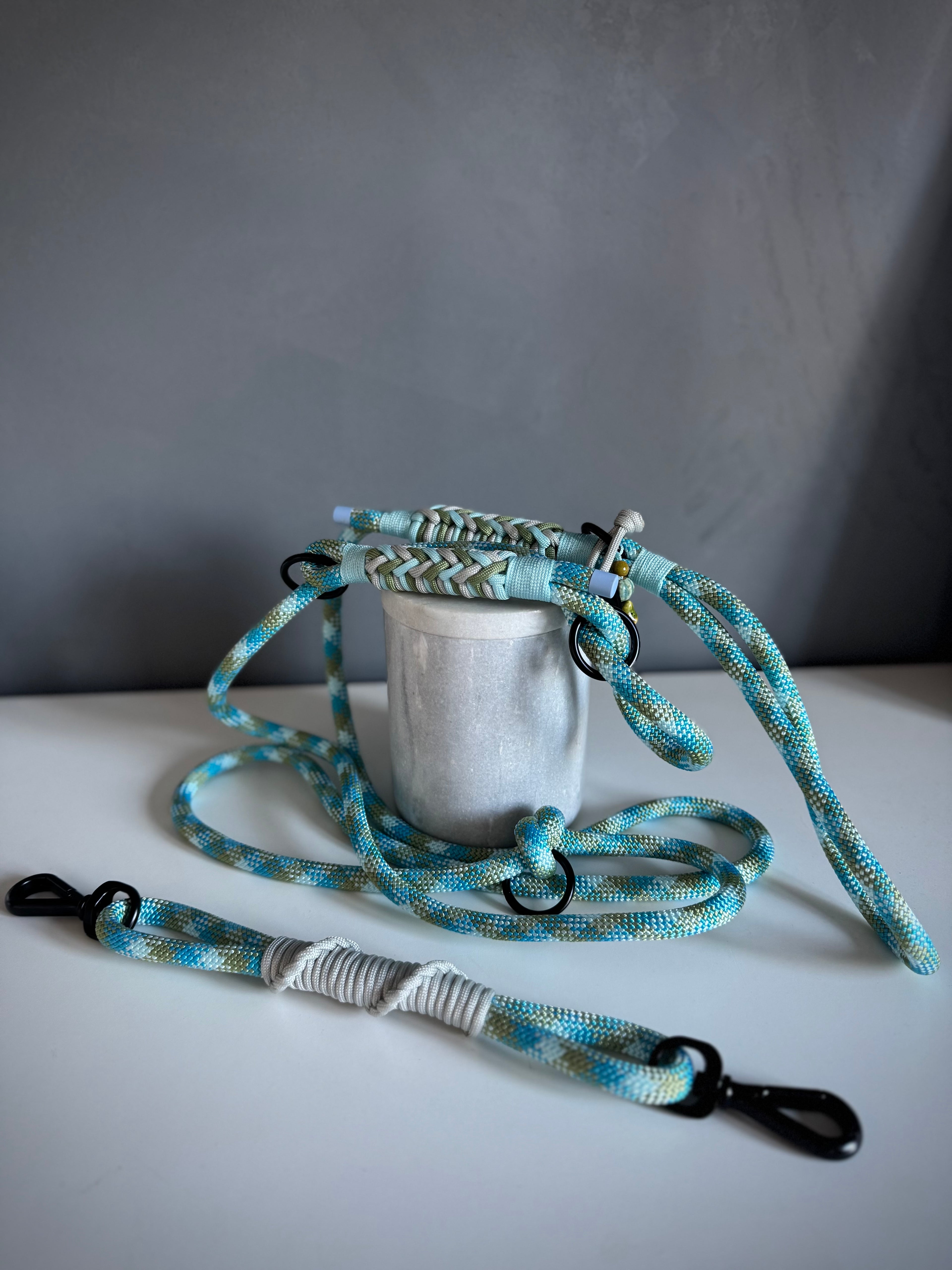 ReadyForGentleLeader | Blue | 10mm