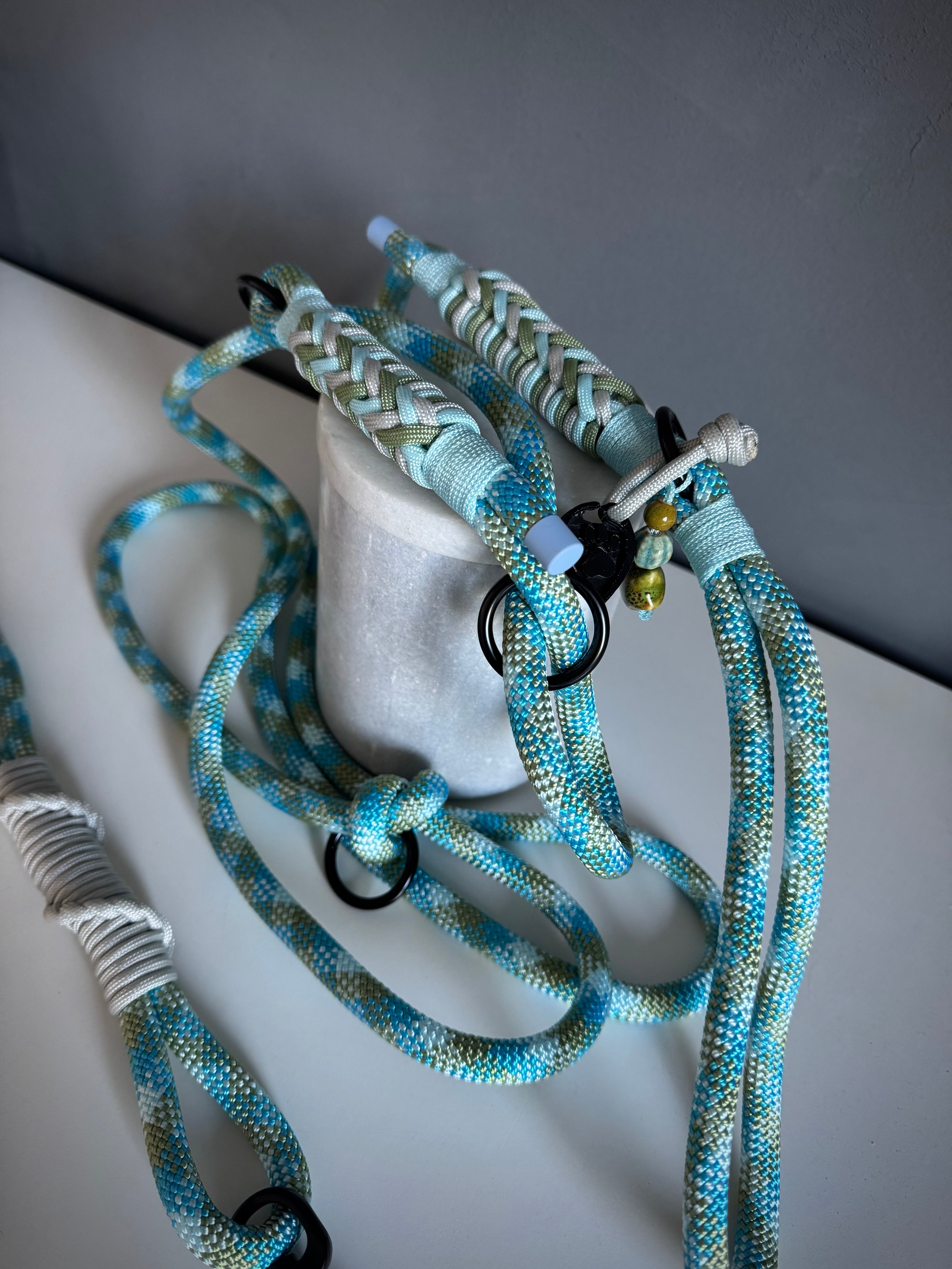 ReadyForGentleLeader | Blue | 10mm