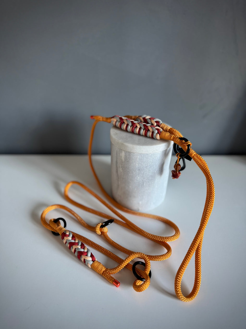 ReadyForGentleLeader | Yellow/Gold | 6mm