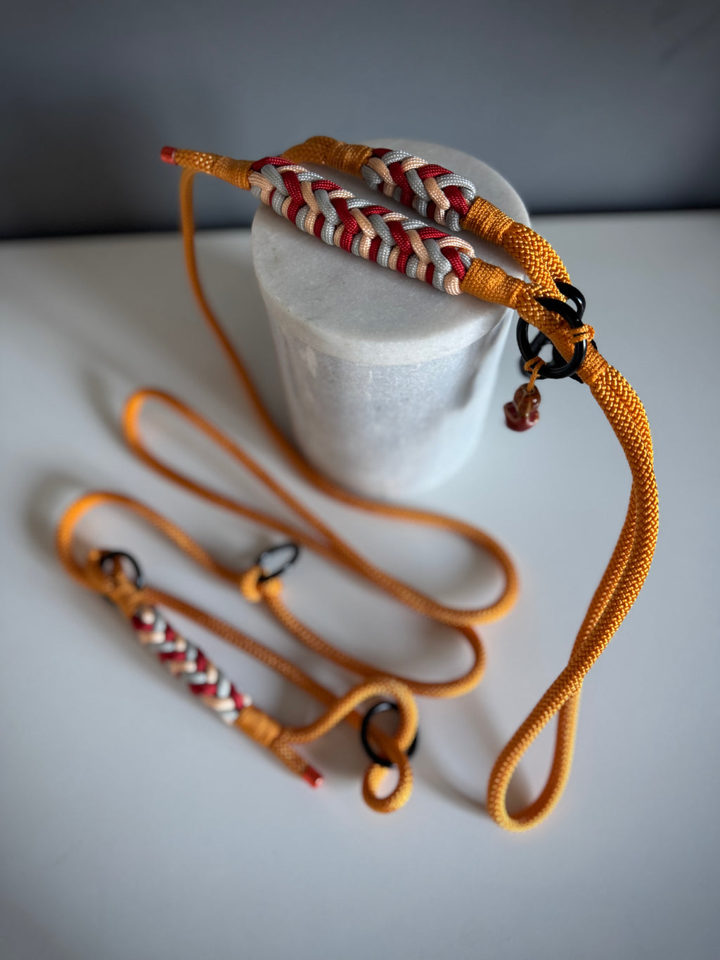 ReadyForGentleLeader | Yellow/Gold | 6mm