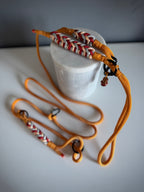 ReadyForGentleLeader | Yellow/Gold | 6mm