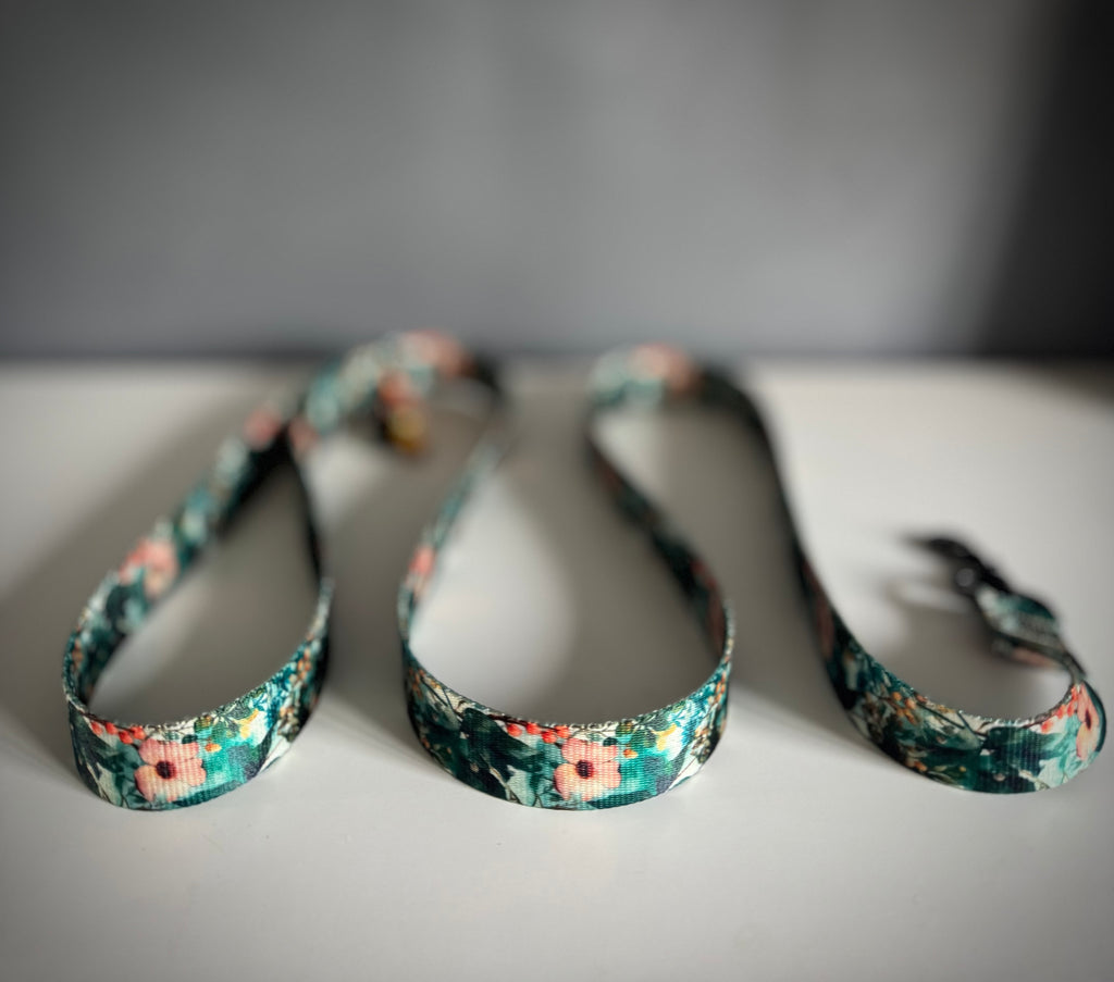 ReadyForWalk | Traditional leash | Green Meadow