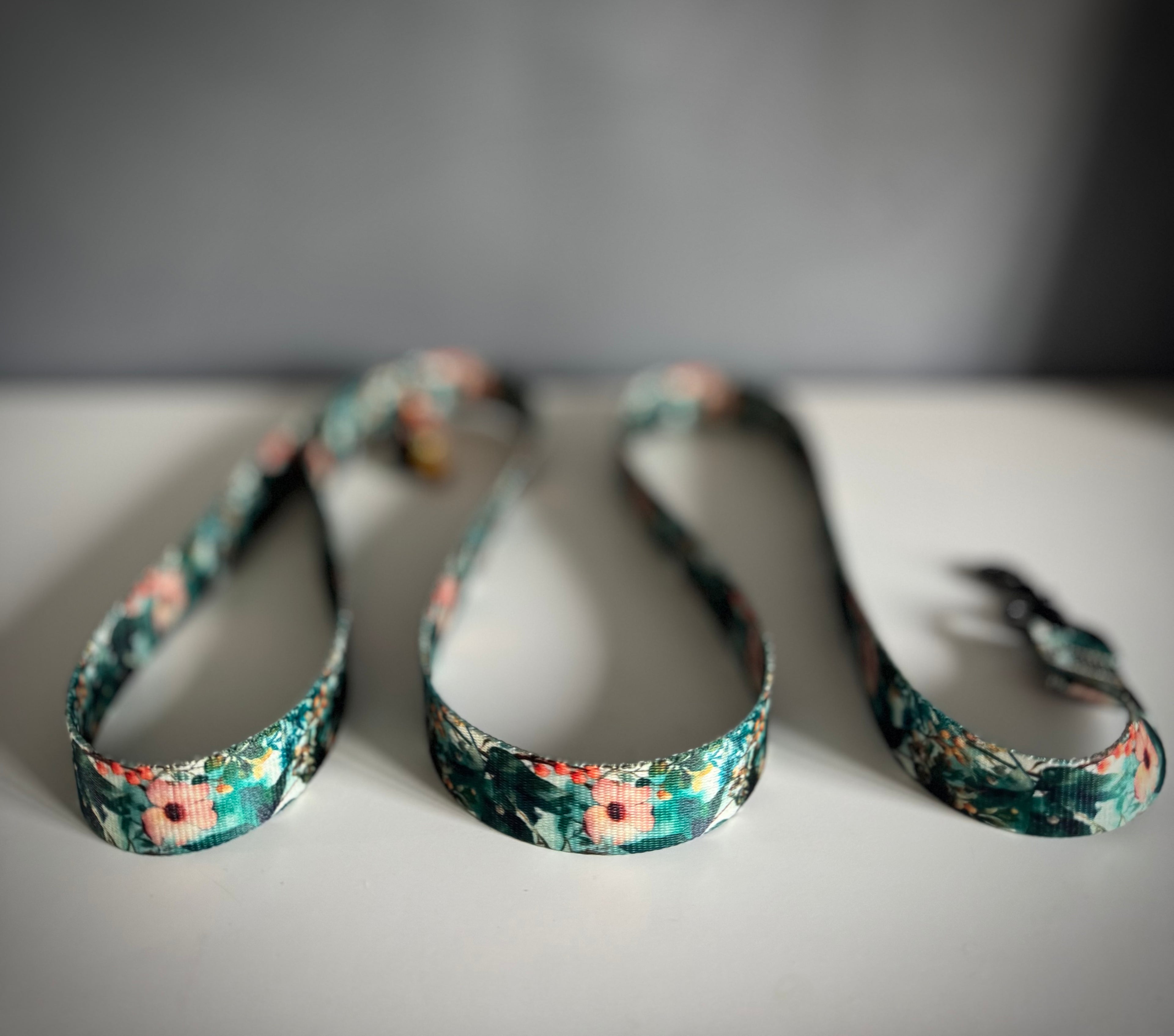 ReadyForWalk | Traditional leash | Green Meadow