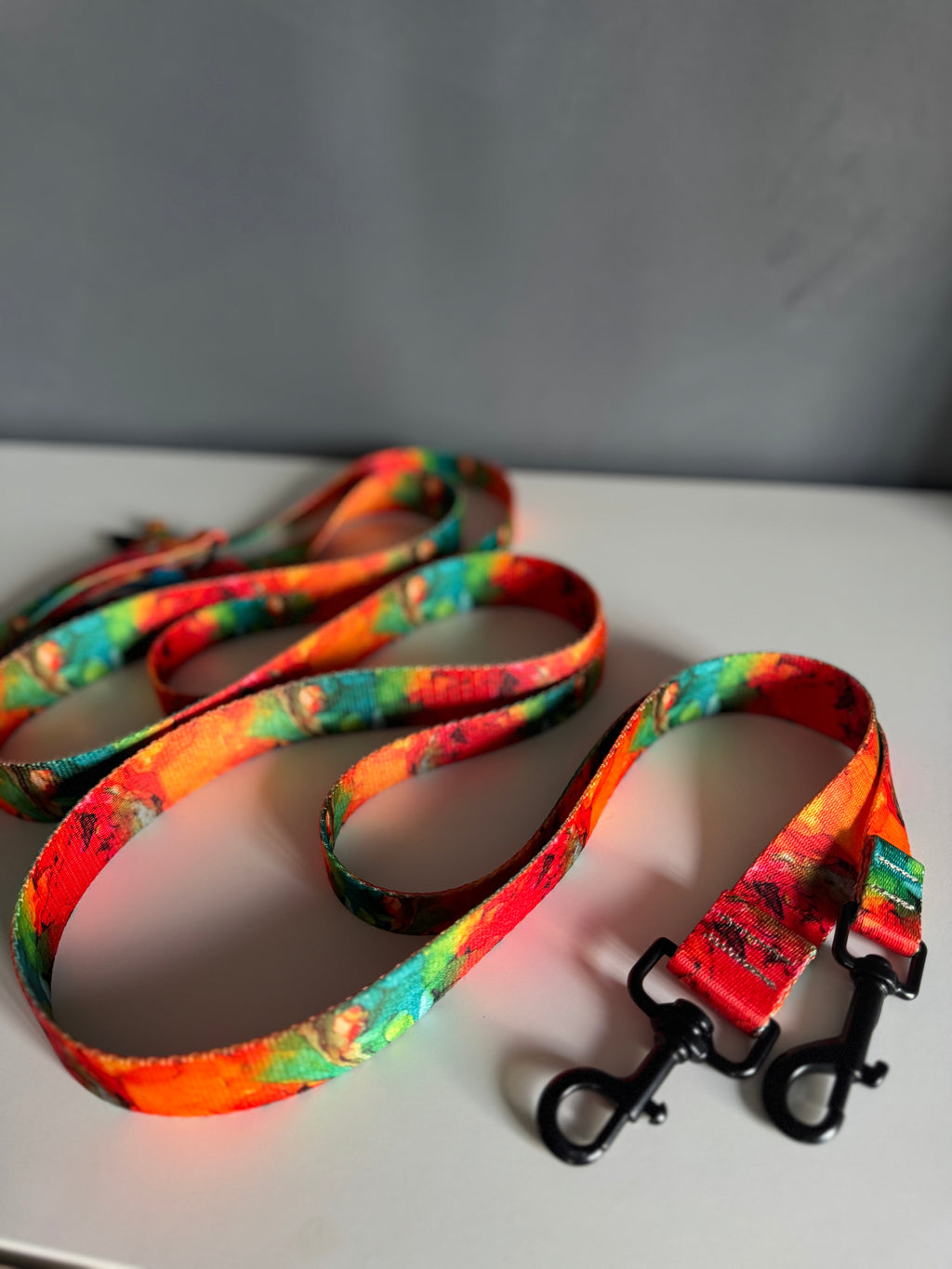 ReadyForWalk | Traditional leash | Energy