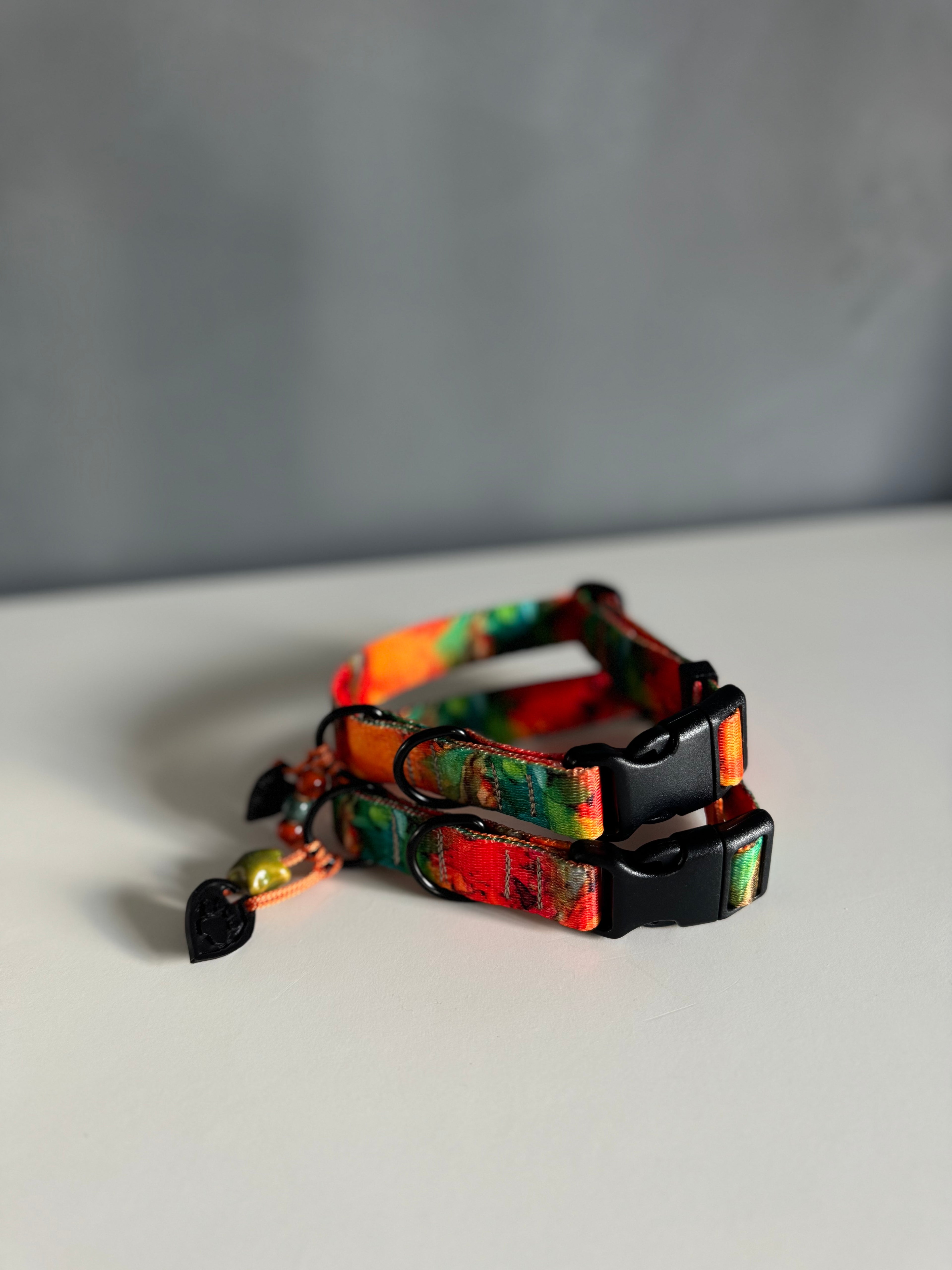 ReadyForBuckle | Collar | Energy