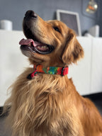 ReadyForBuckle | Collar | Energy