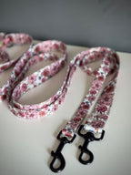 ReadyForWalk | Traditional leash | Meadow