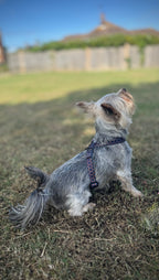 ReadyForHarness | Hexagon Navy