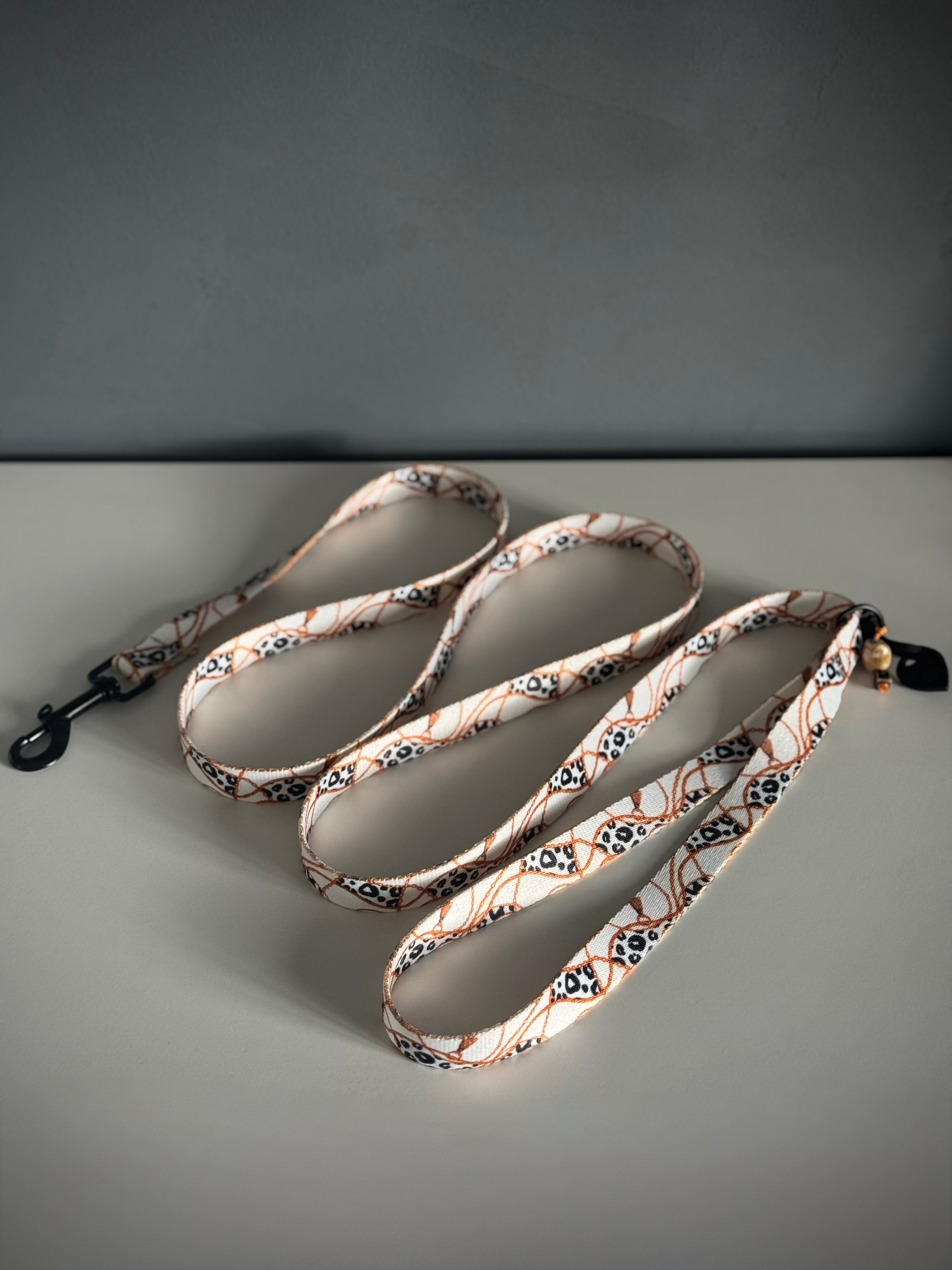 ReadyForWalk | Traditional leash | Chain