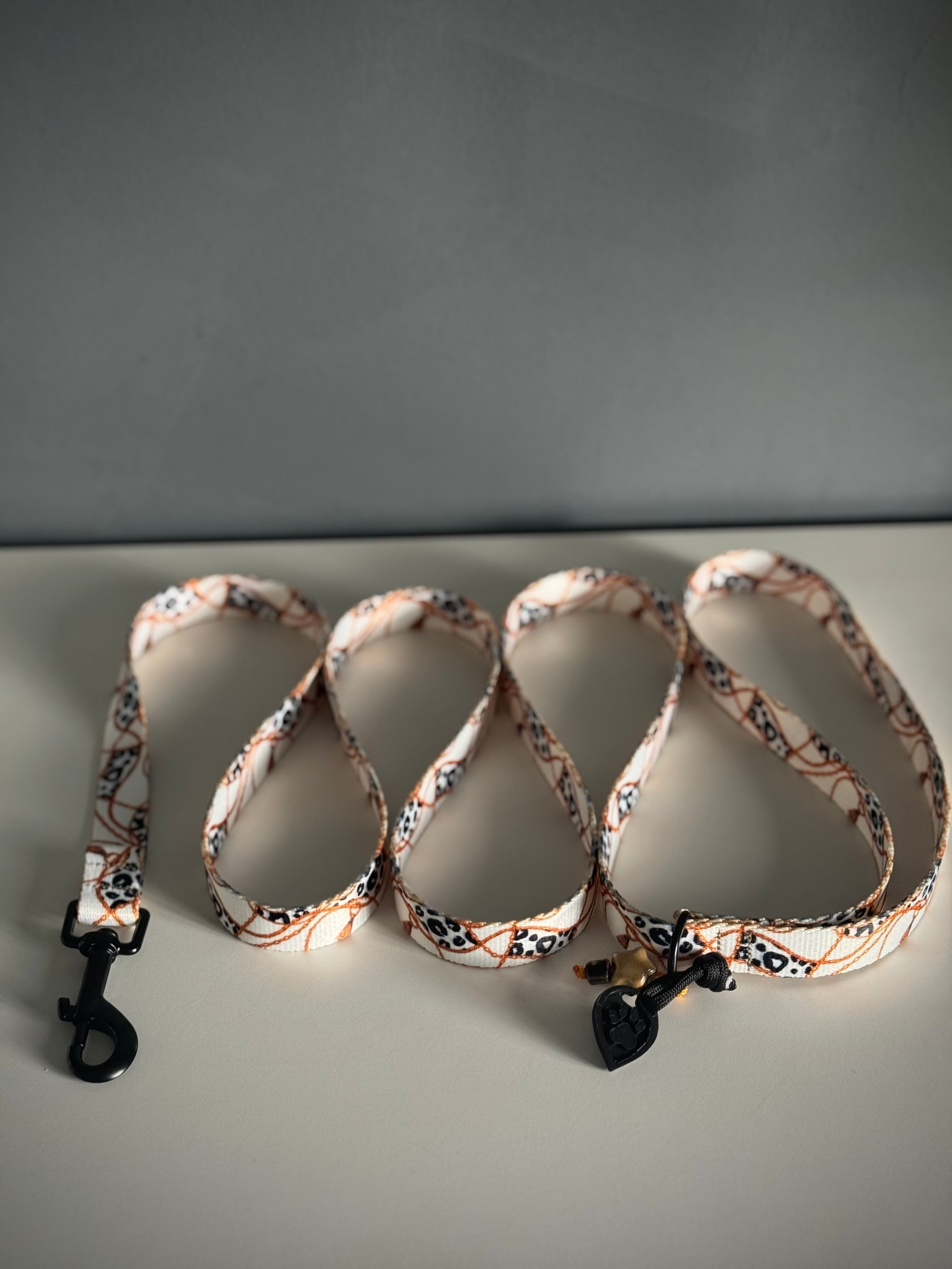 ReadyForWalk | Traditional leash | Chain