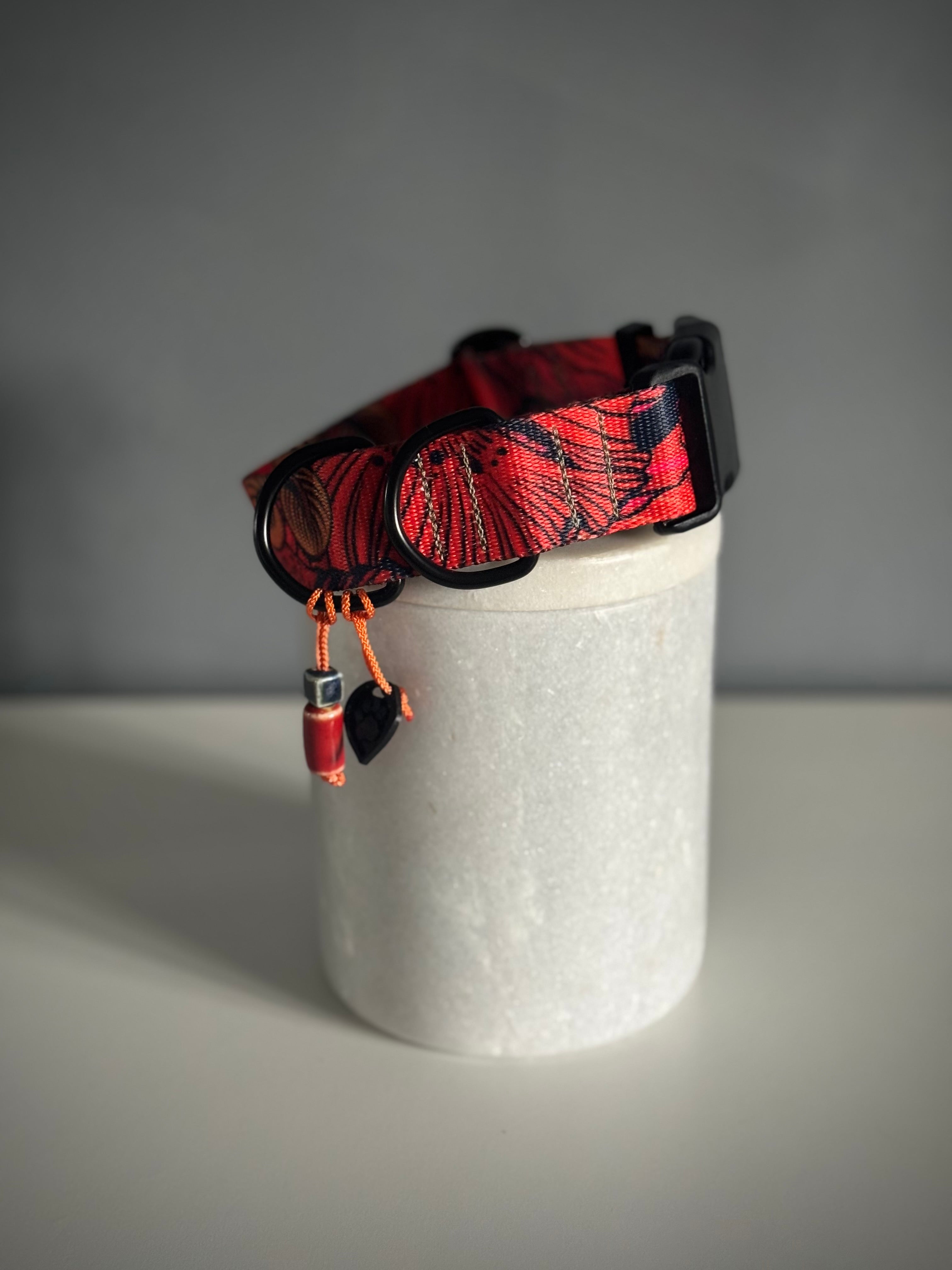 ReadyForBuckle | Collar | Red Fish