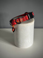 ReadyForBuckle | Collar | Red Fish