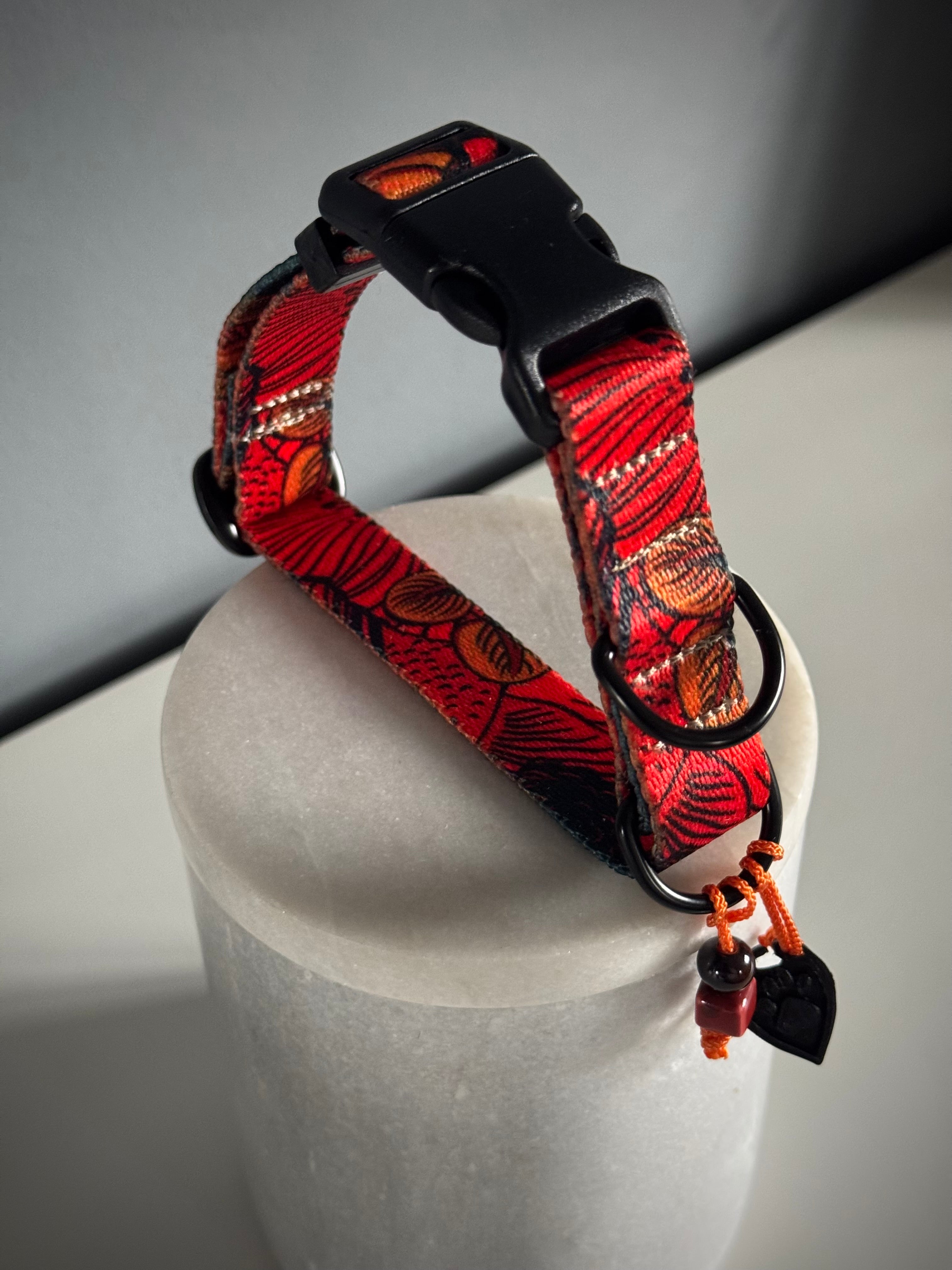 ReadyForBuckle | Collar | Red Fish
