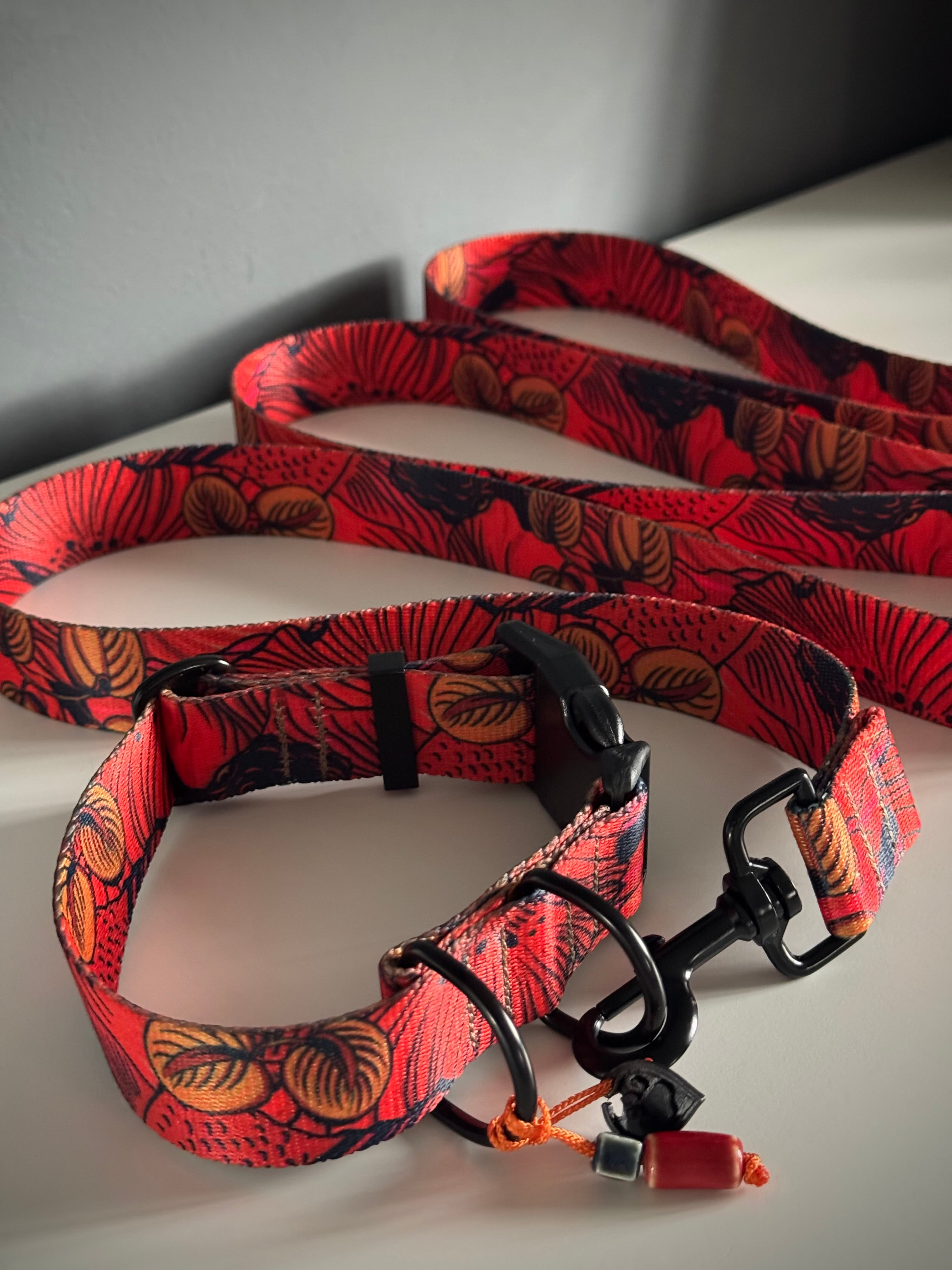 ReadyForWalk | Traditional leash | Red Fish