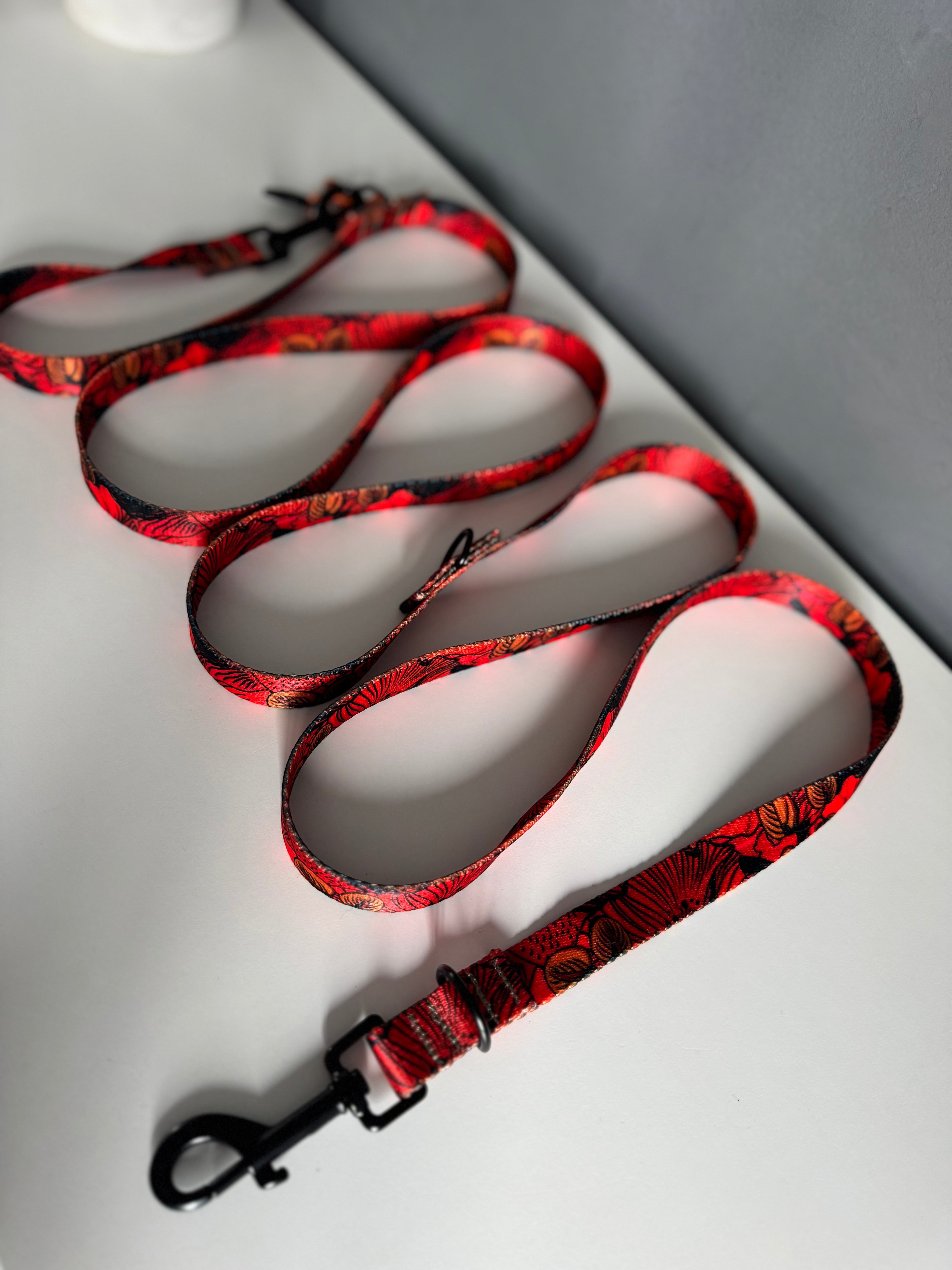 ReadyFor3 | Multifunctional Leash | Red Fish
