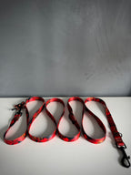 ReadyFor3 | Multifunctional Leash | Red Fish