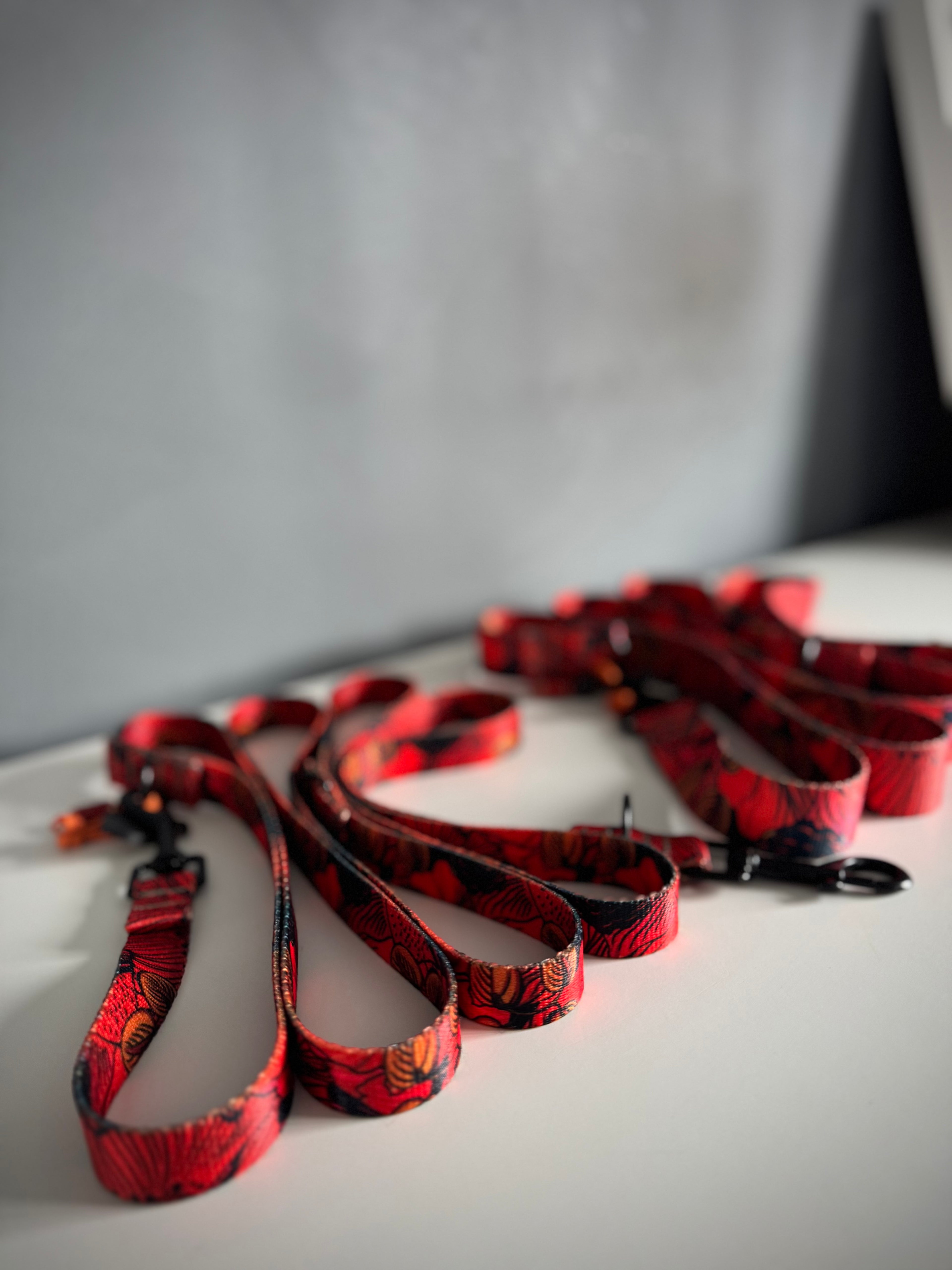ReadyFor3 | Multifunctional Leash | Red Fish