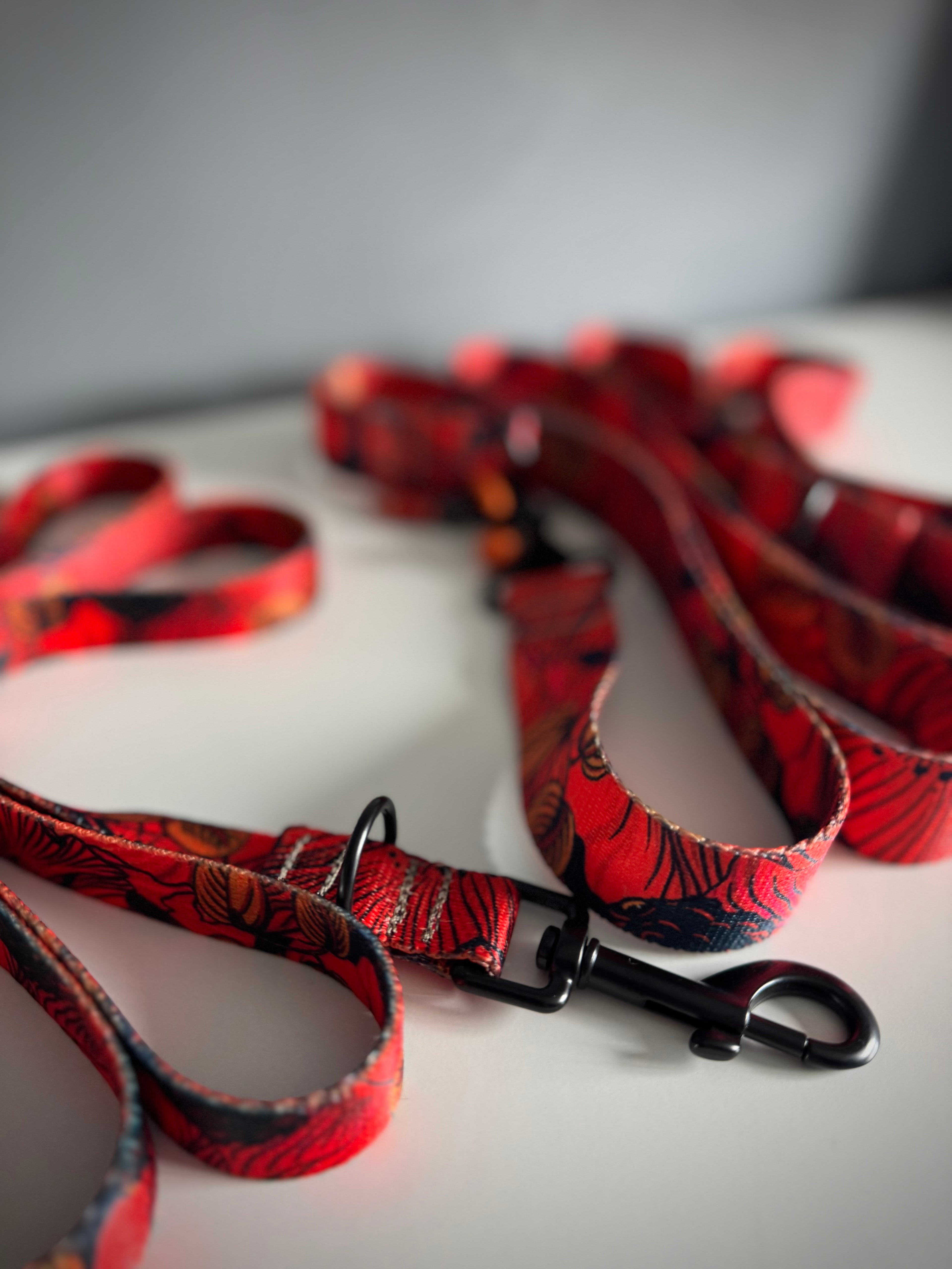 ReadyFor3 | Multifunctional Leash | Red Fish