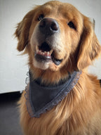 ReadyForBandana | Waterproof Linen-Texture | Navy