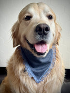 ReadyForBandana | Waterproof Linen-Texture | Navy