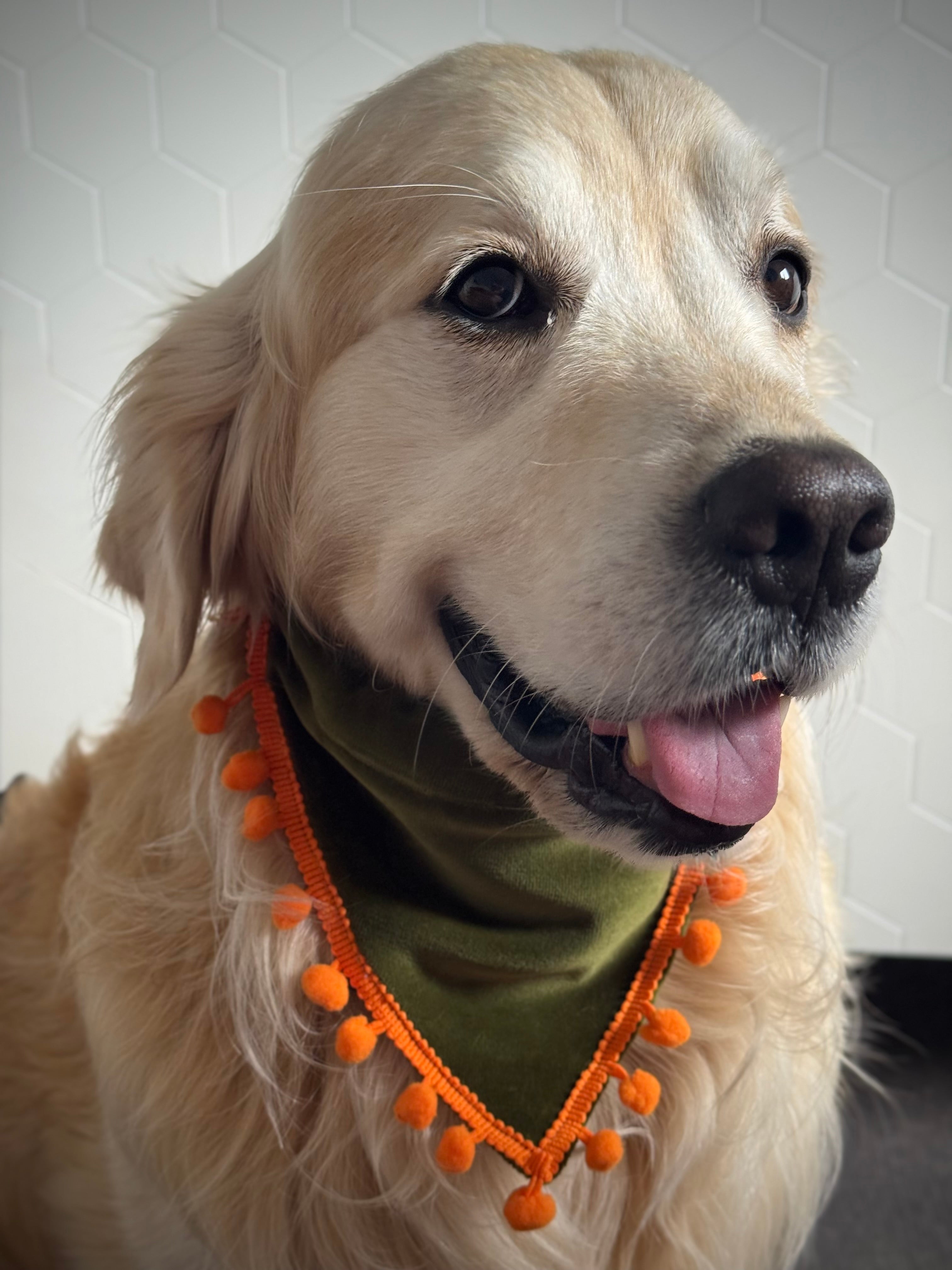 ReadyForBandana | Velvet  | Green