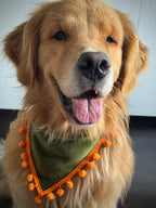 ReadyForBandana | Velvet  | Green