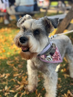 ReadyForBandana | Velvet  | Meadow