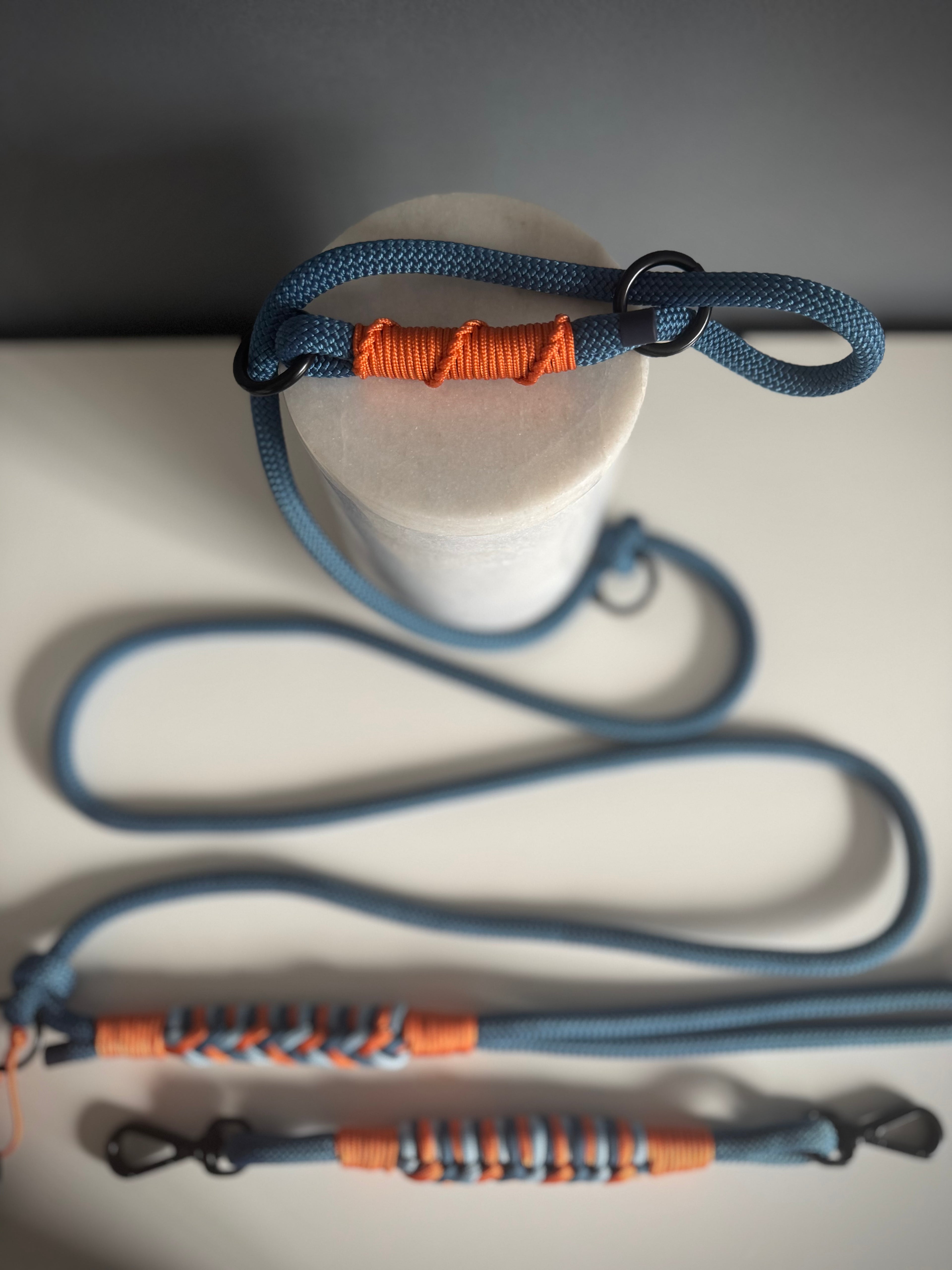 ReadyForGentleLeader | Petrol Blue | 8mm