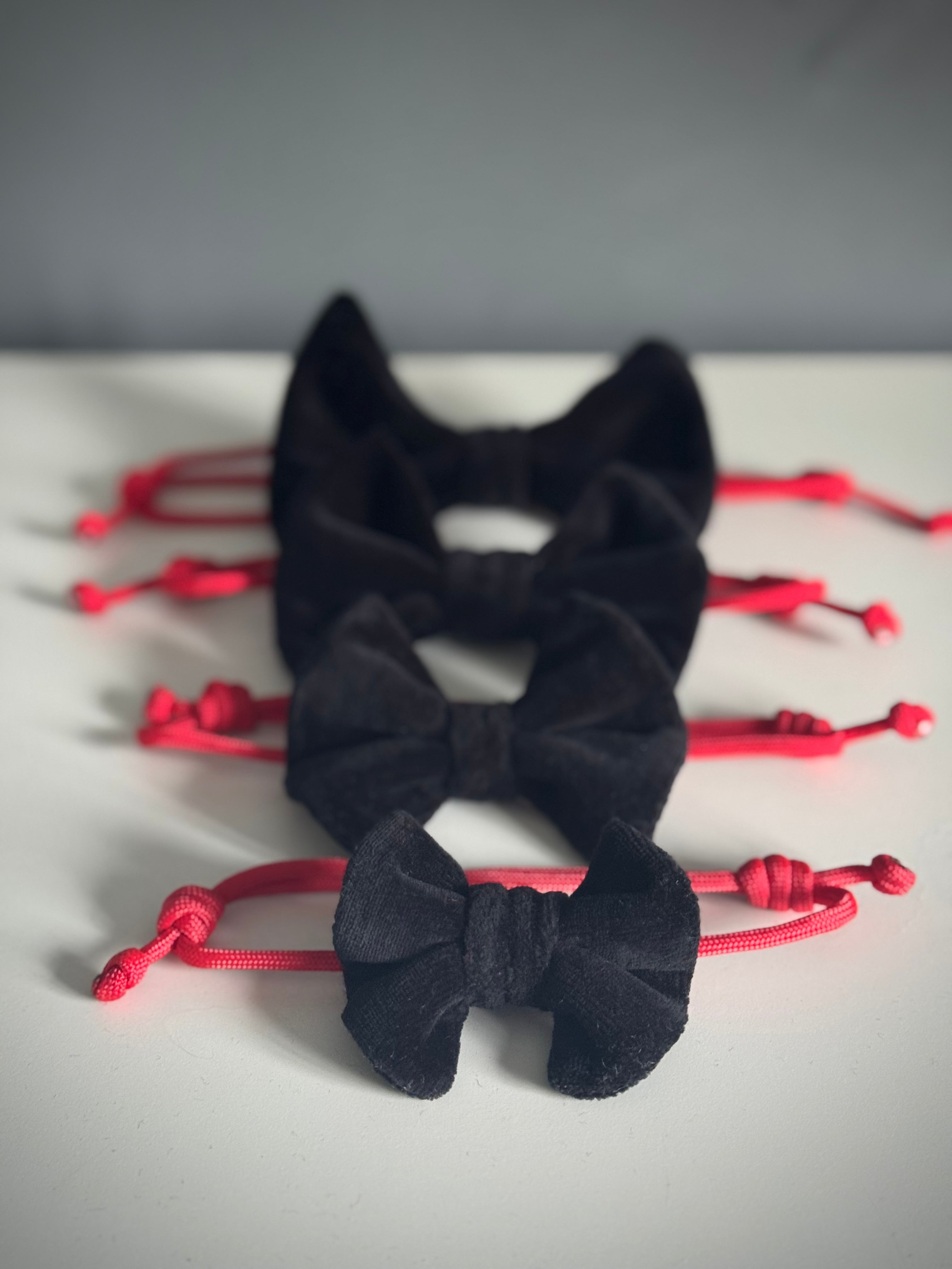 ReadyForBowTie | Velvet Black/Red