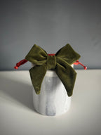 ReadyForBowTie | Velvet Green/Orange