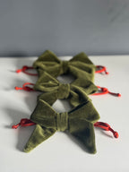 ReadyForBowTie | Velvet Green/Orange