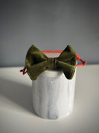ReadyForBowTie | Velvet Green/Orange