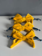 ReadyForBowTie | Velvet Yellow/Blue
