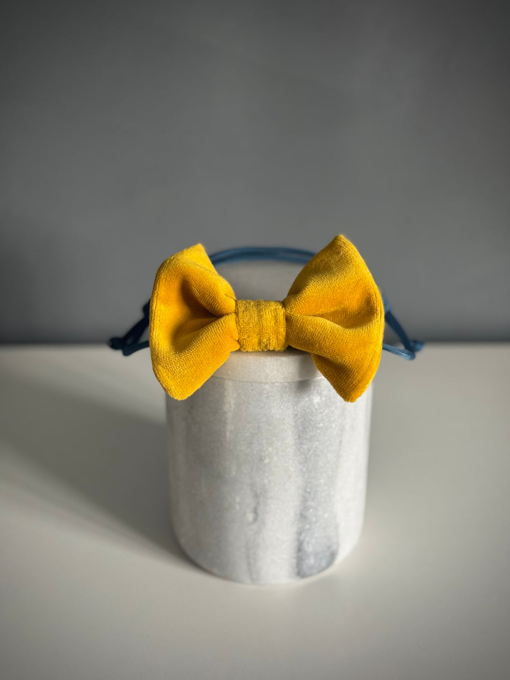 ReadyForBowTie | Velvet Yellow/Blue
