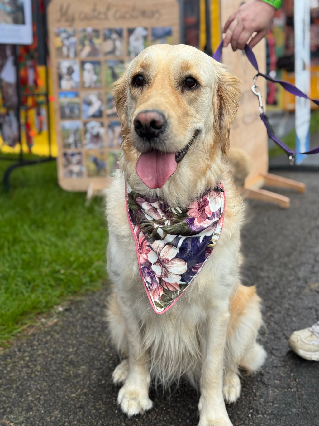 ReadyForBandana | Velvet  | Meadow